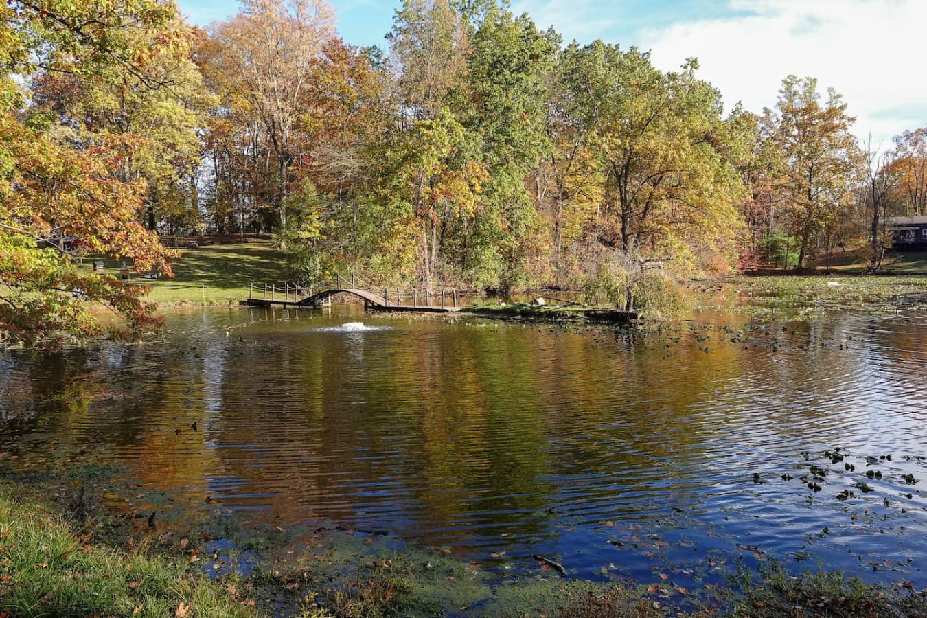 Gallery Image 64