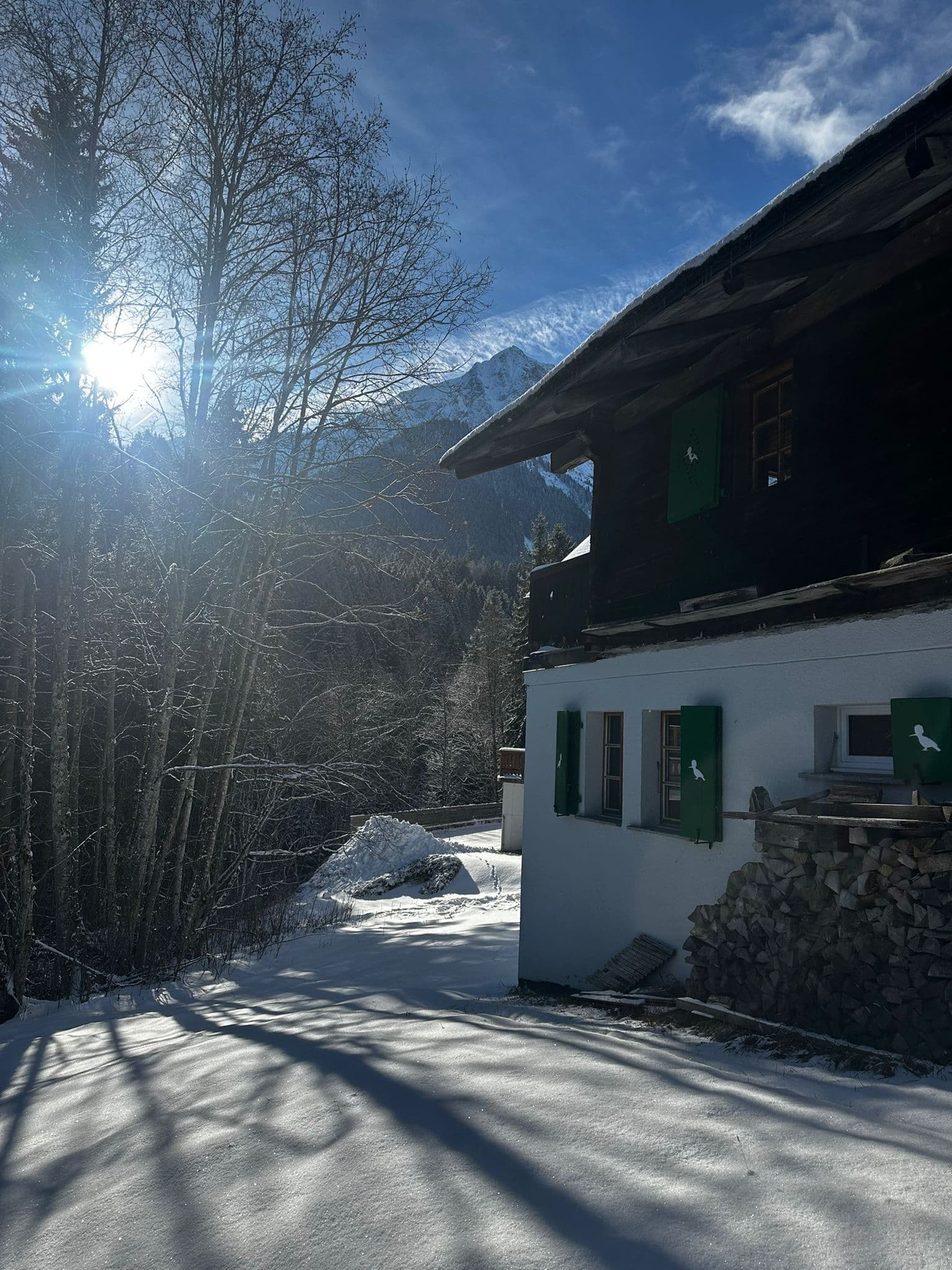 Gallery Image 11