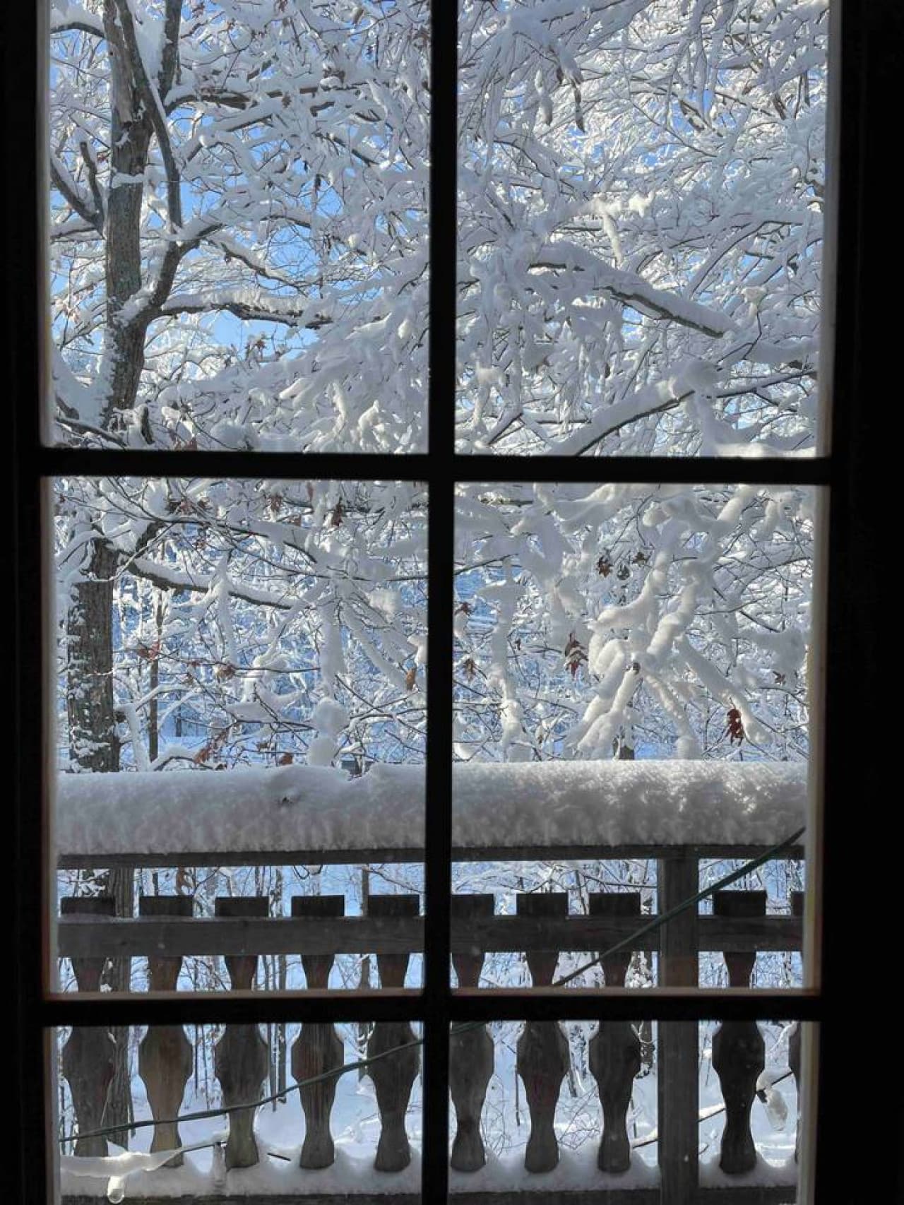 Gallery Image 59