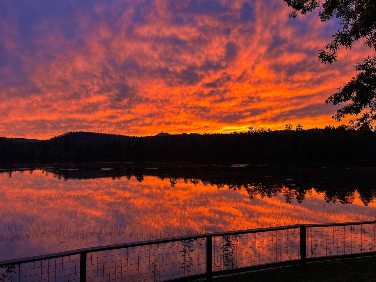 At sunset, the sky lights up over the water and mountains, giving this room a magical end-of-day glow. And if you love to fish, the nearby shallow shoreline, grasses, and lily pads create excellent habitat.
