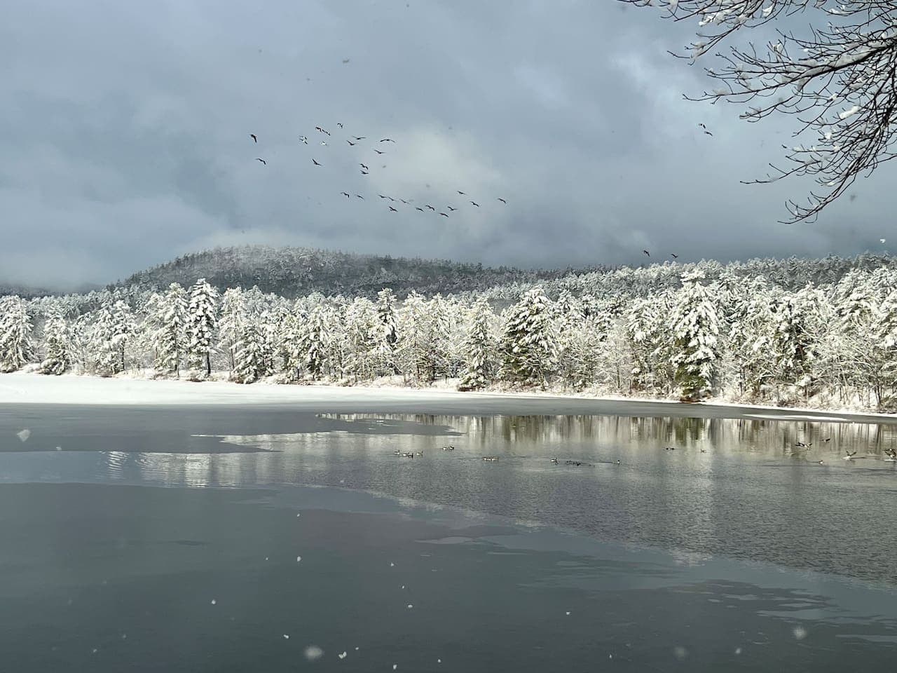 Our frozen pond is a dreamy winter escape—glide hand in hand beneath the crisp sky, carve trails on snowshoes, laugh over a friendly hockey game, or drop a line through the ice and savor the stillness of the season together.
