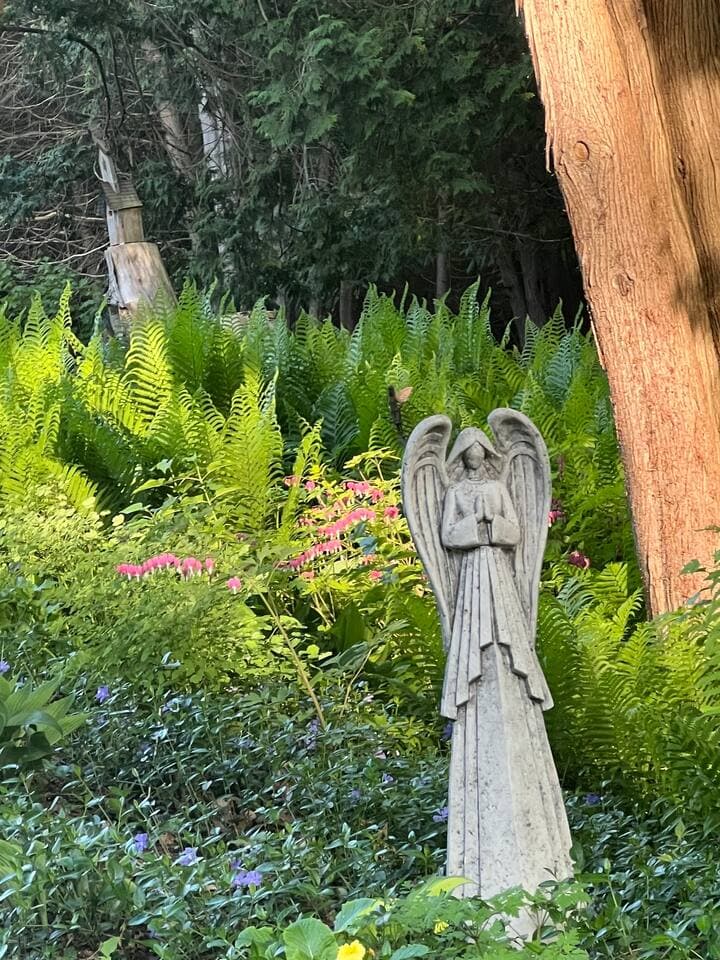 Gallery Image 16