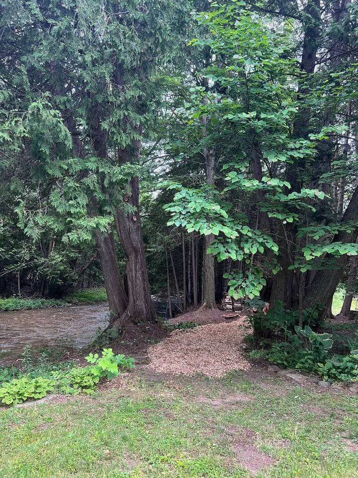 Gallery Image 17