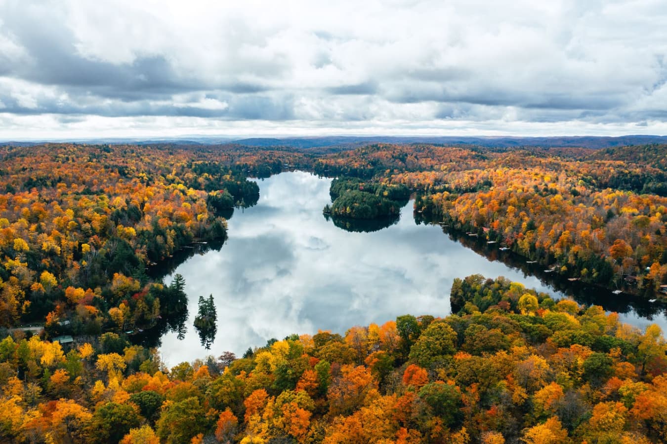 Gallery Image 34