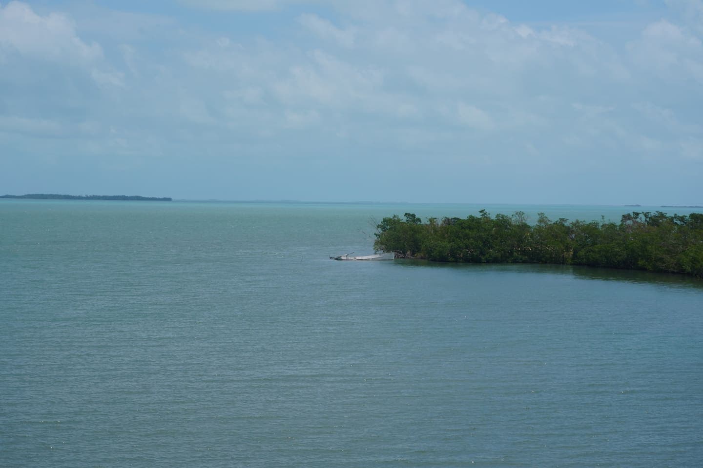 Gallery Image 39