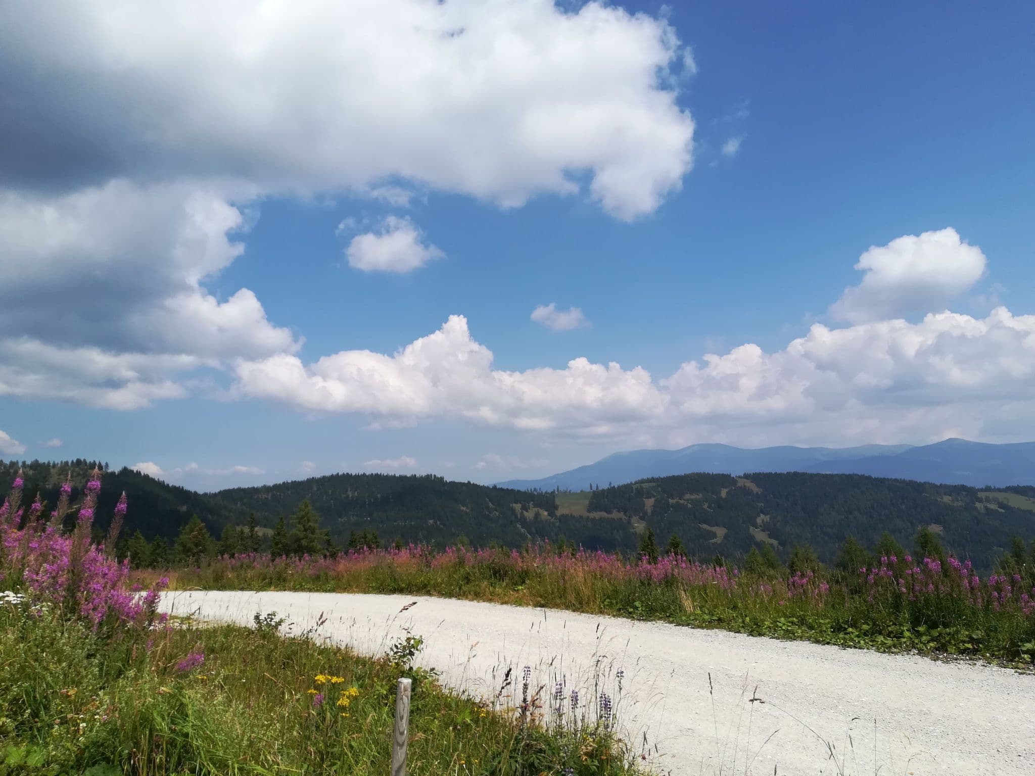 View
