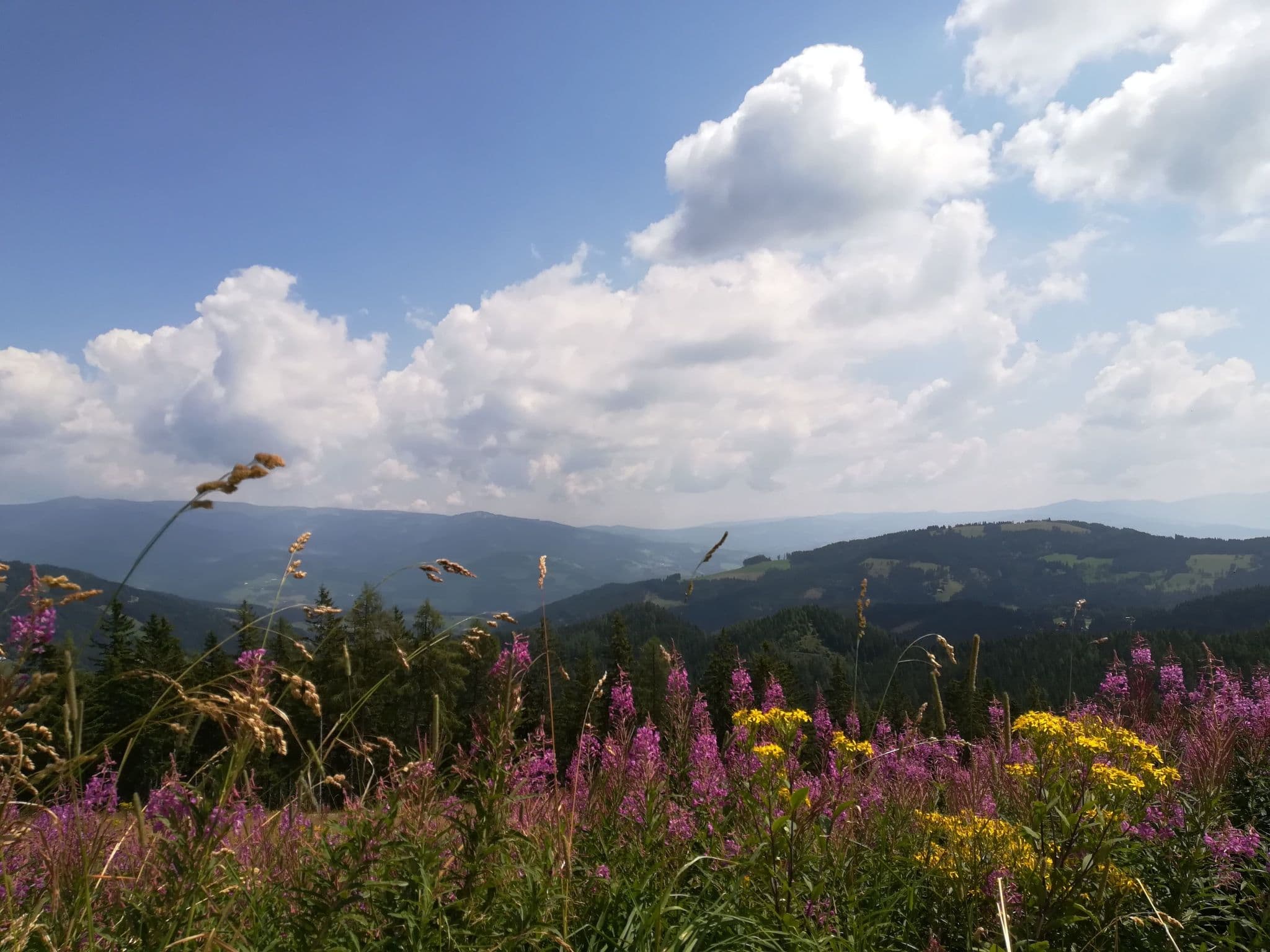 View