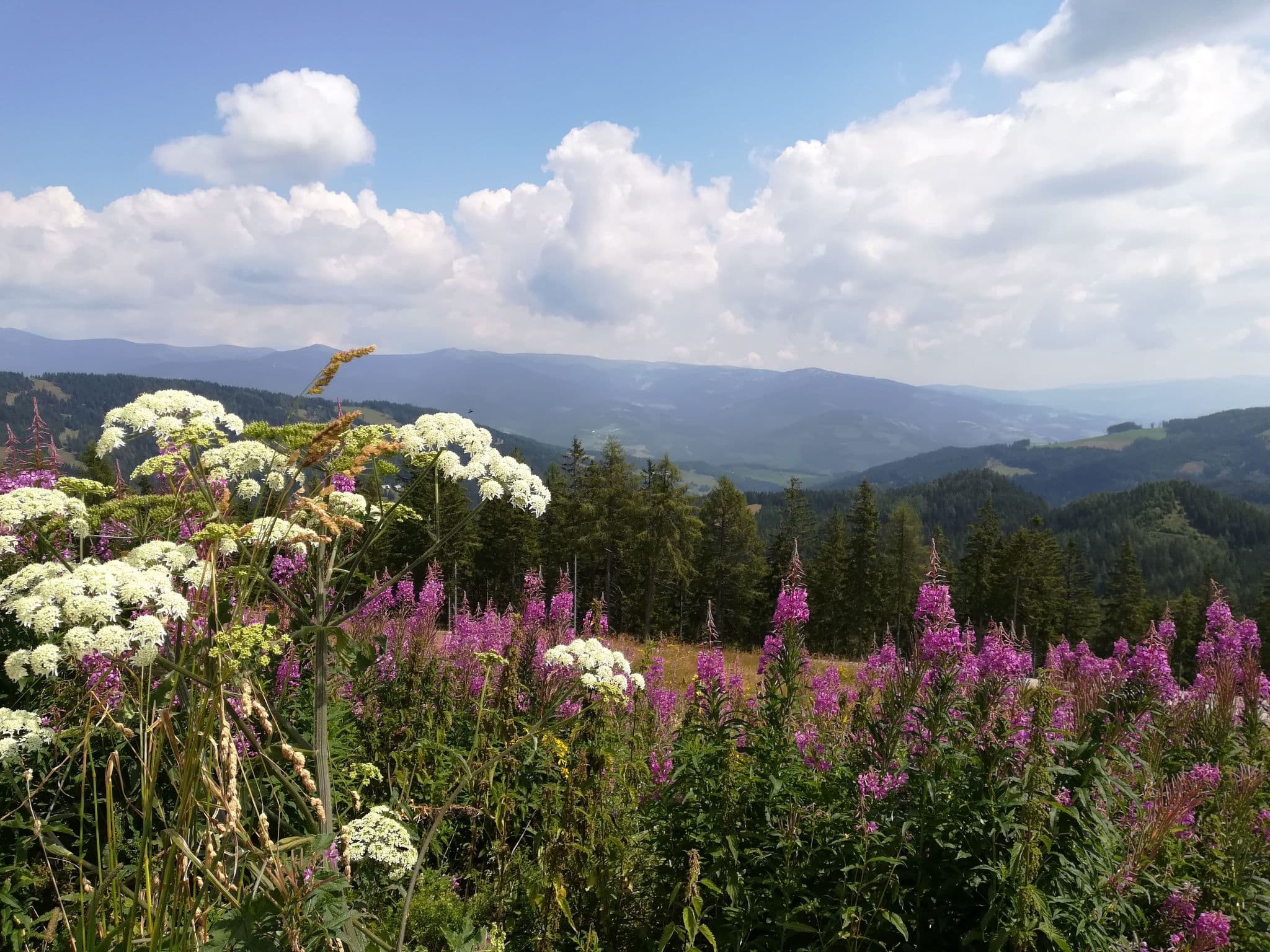 View