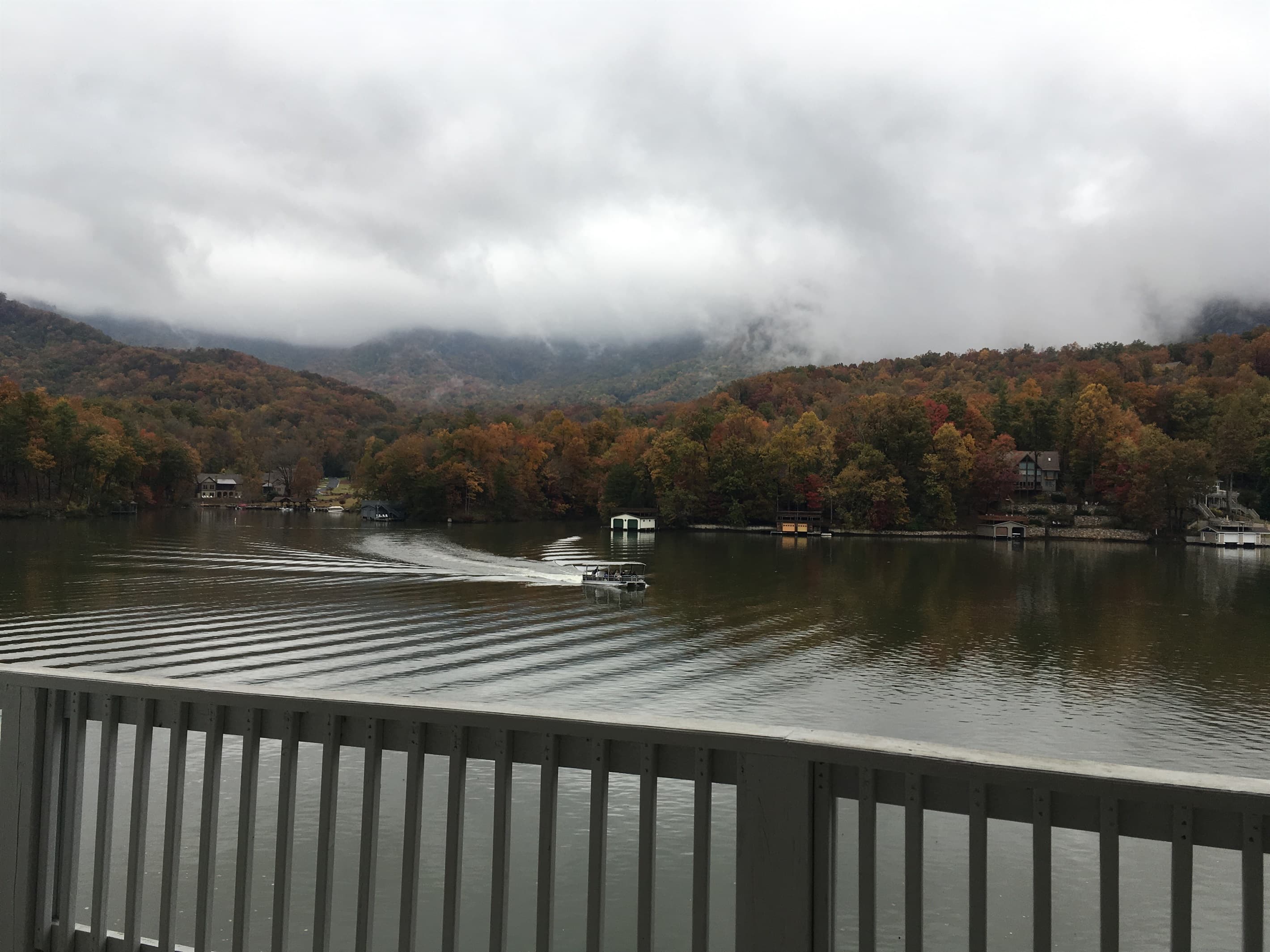 The fall leaves are incredible