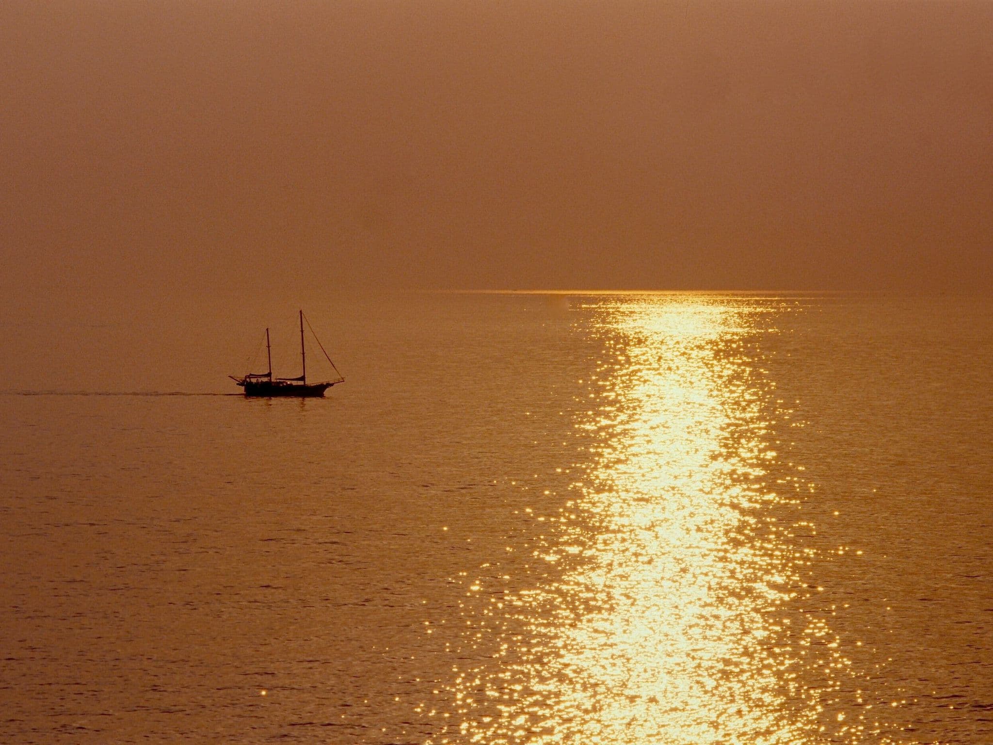 Gallery Image 23