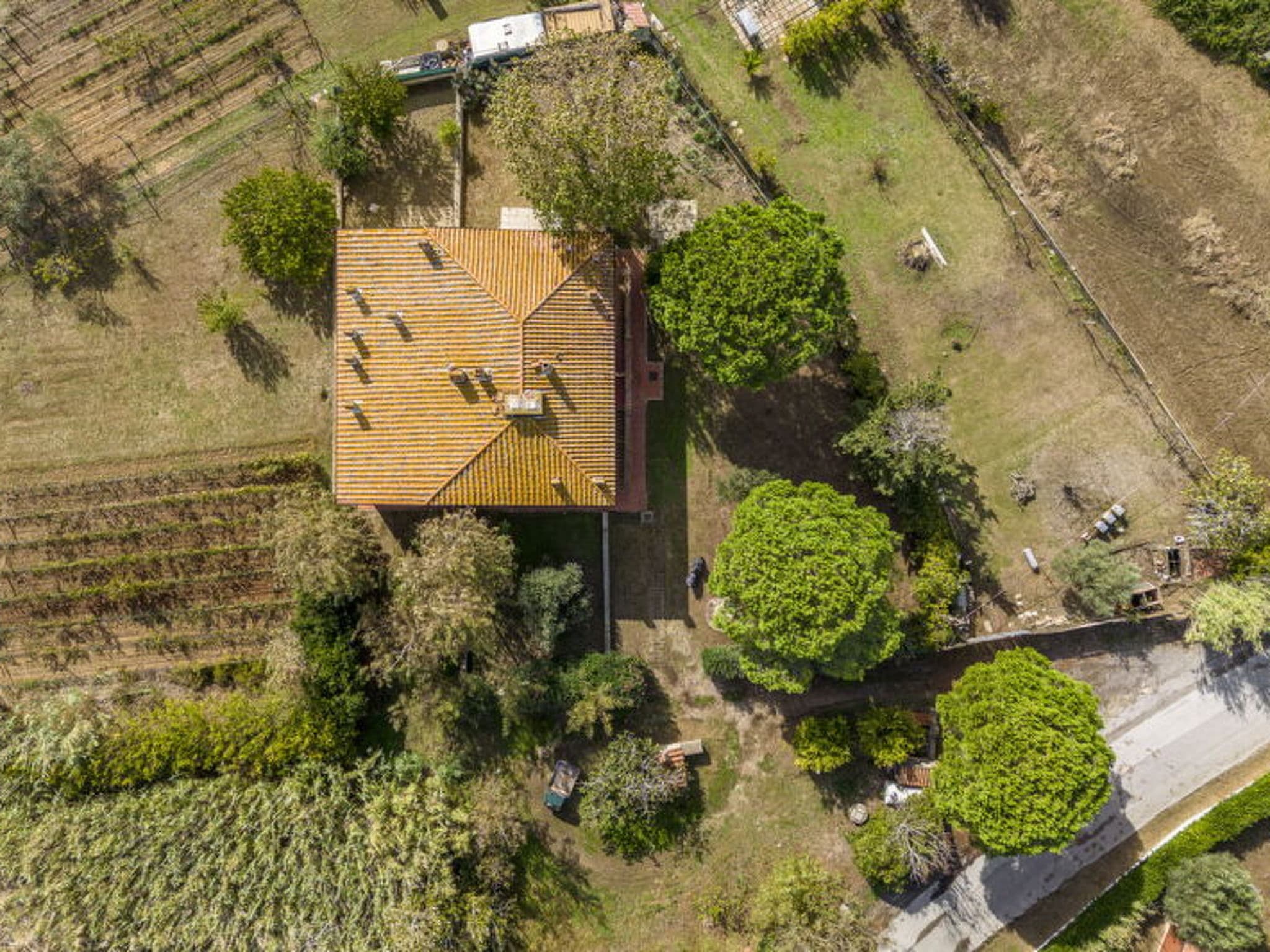 Aerial photography