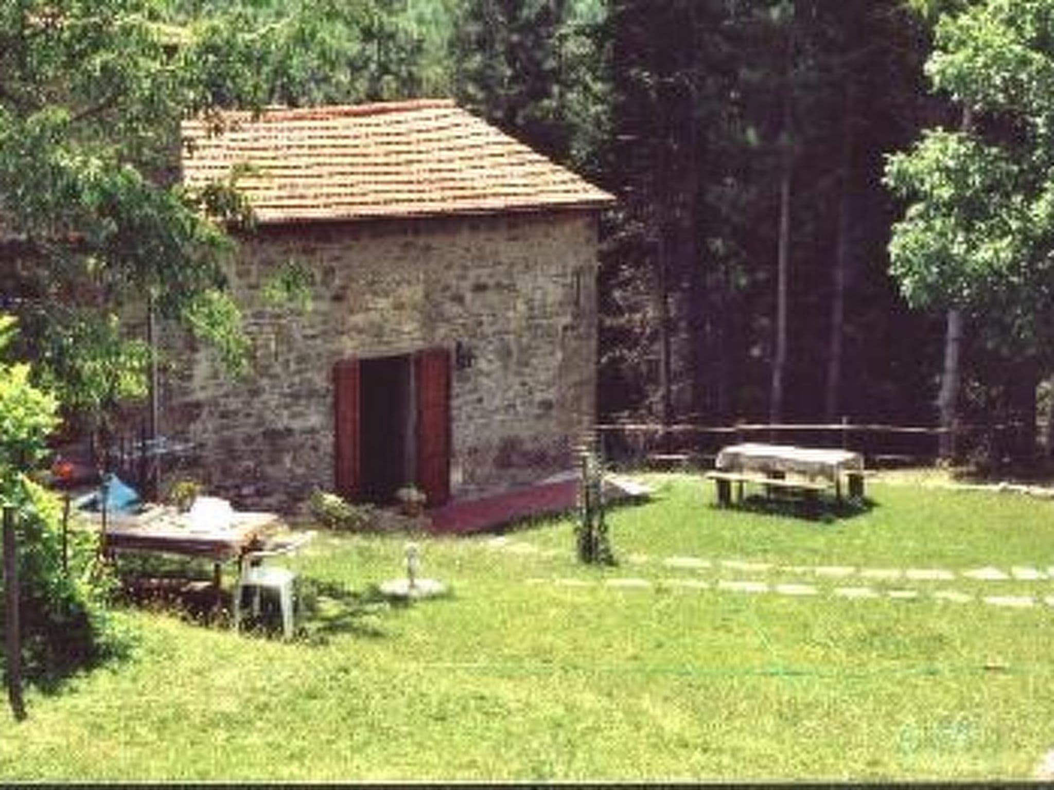 Gallery Image 8