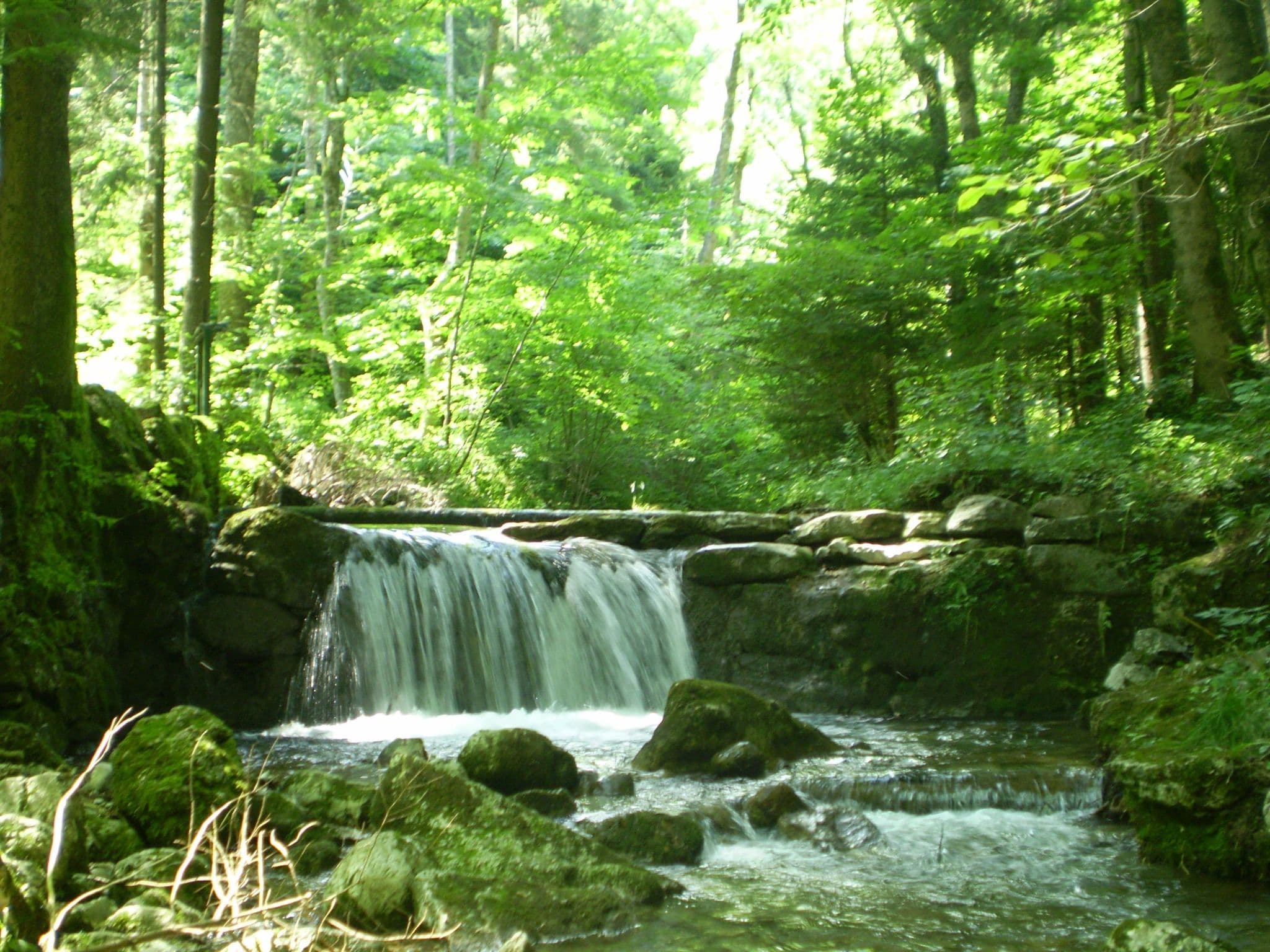 Gallery Image 29