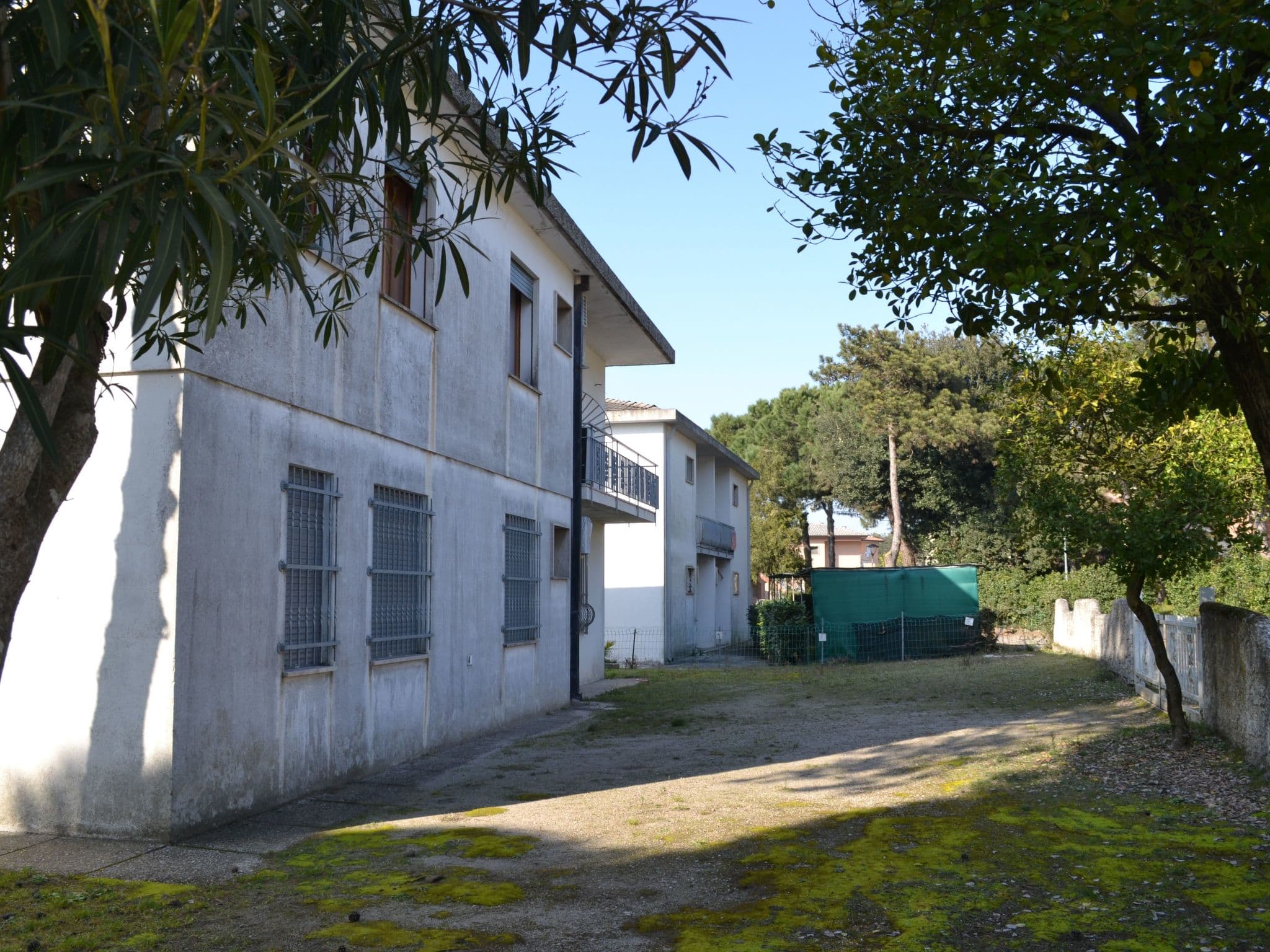 Gallery Image 11