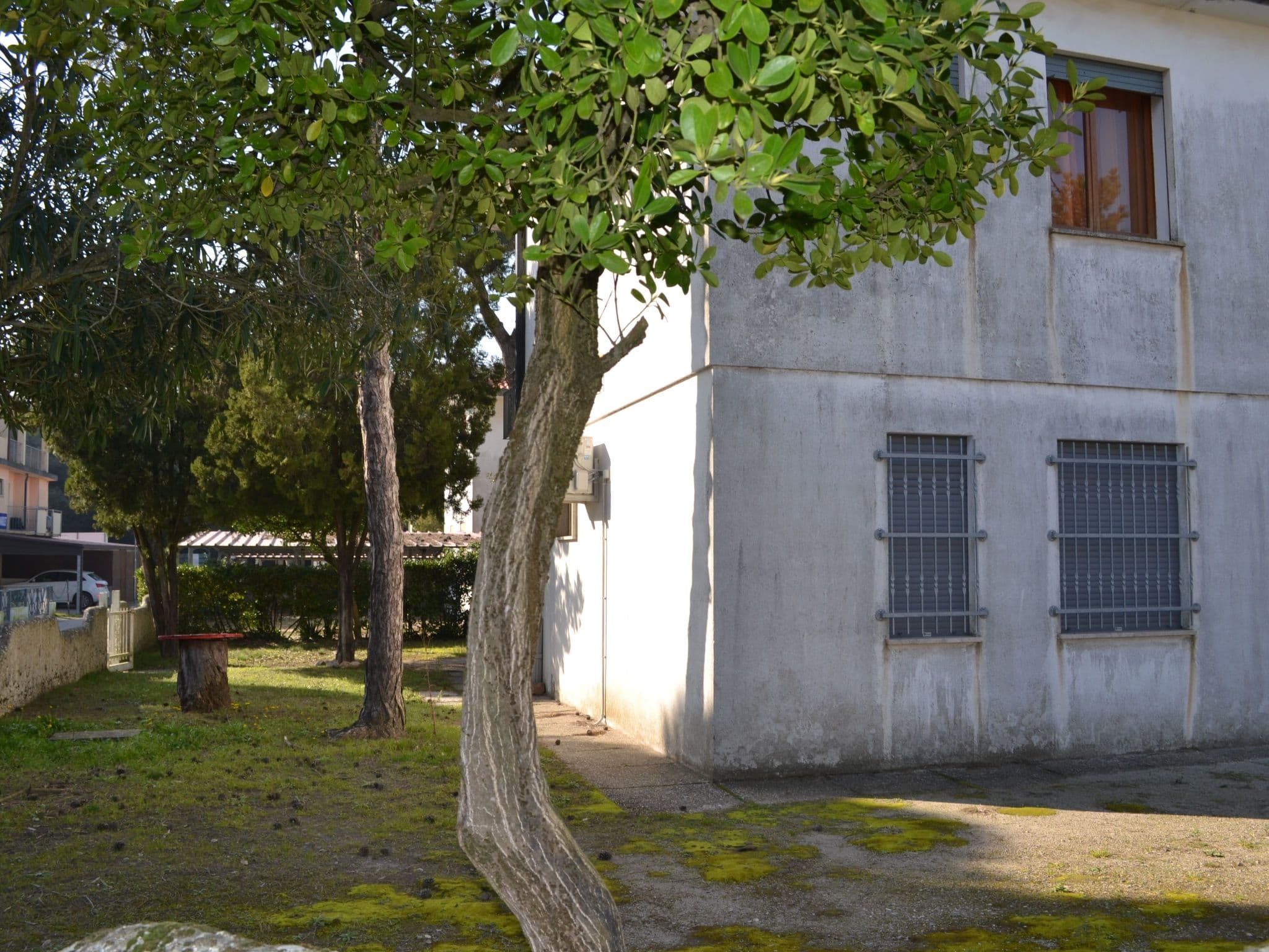 Gallery Image 12