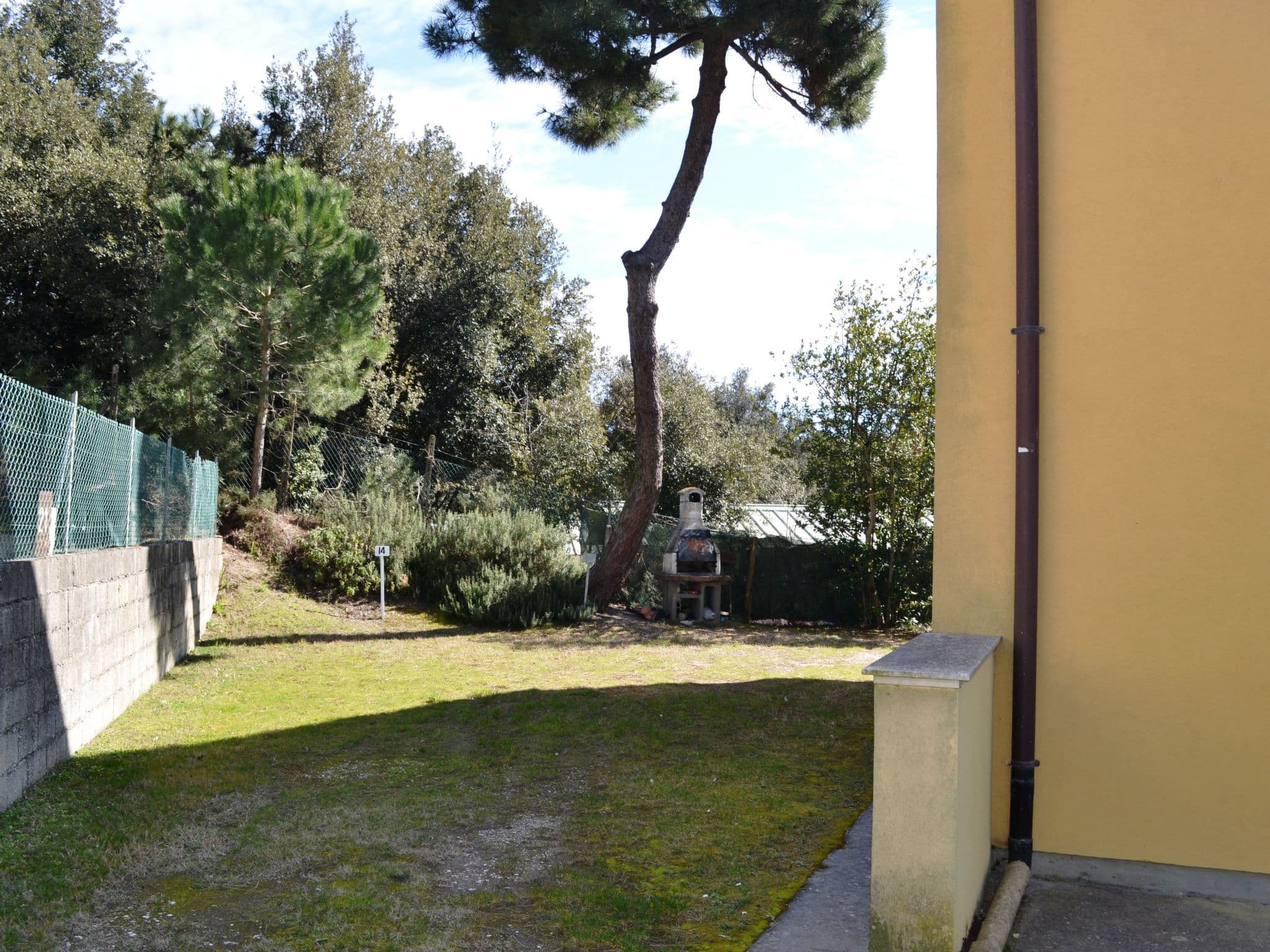 Gallery Image 14