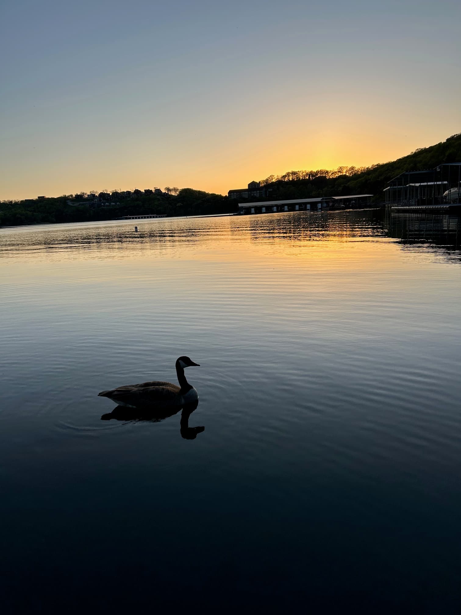 Table Rock Lake