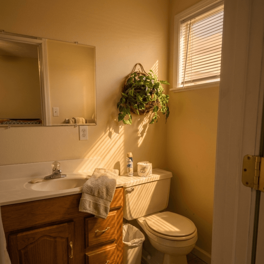Owners Suite Ensuite Bath