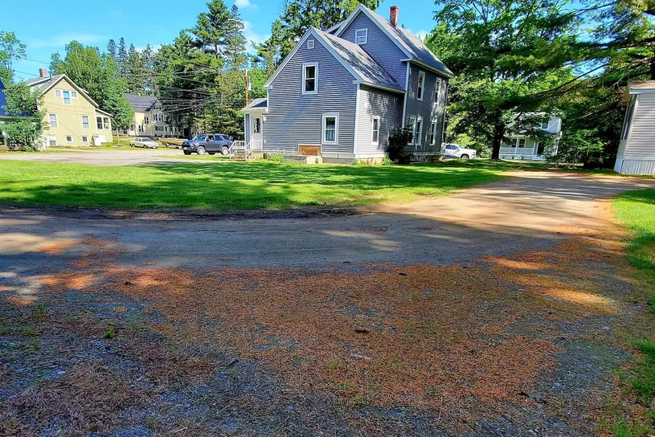 Gallery Image 7