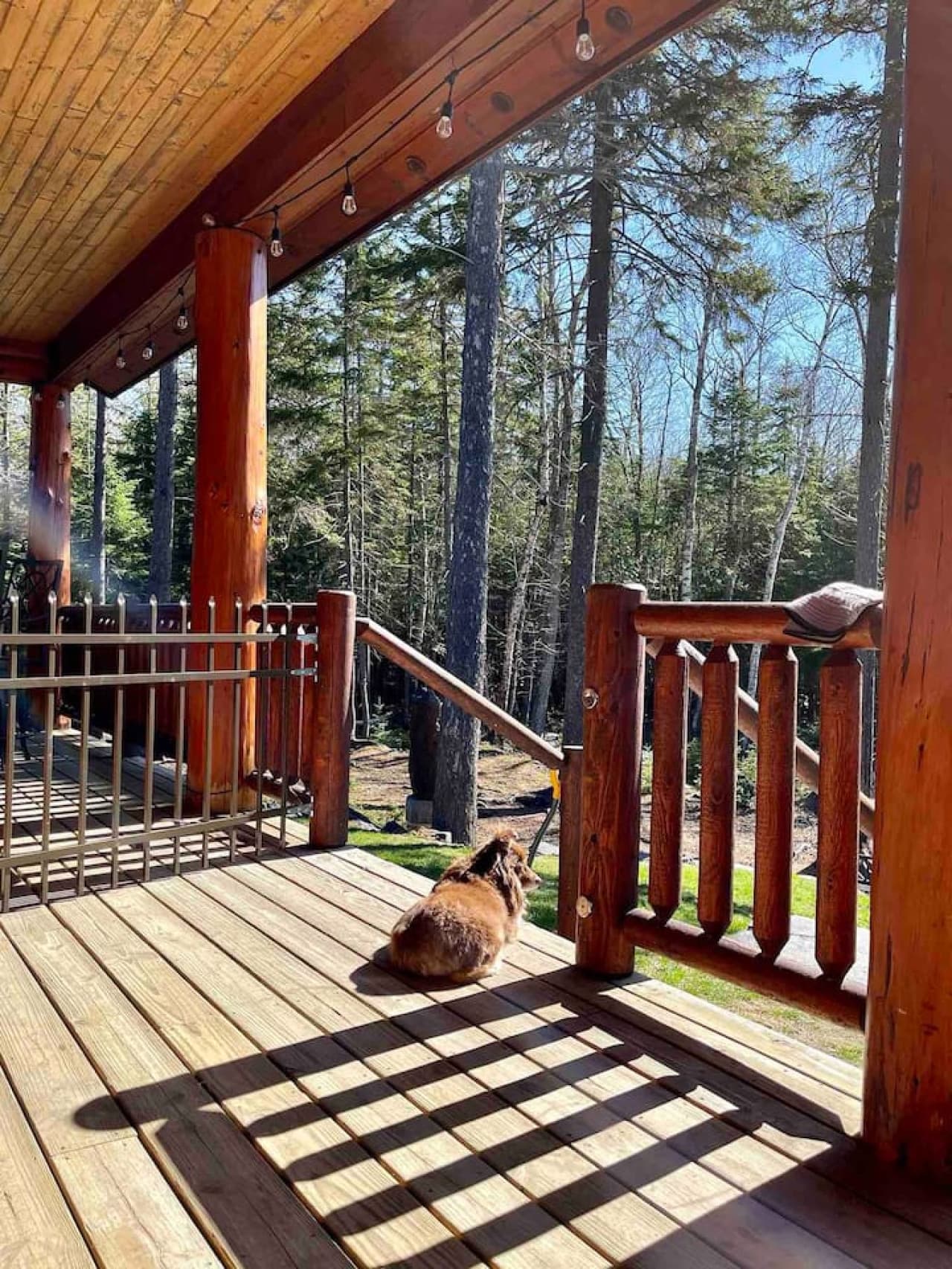 If you shut the gate to the upper deck the entire  deck will be secure for pets to roam.