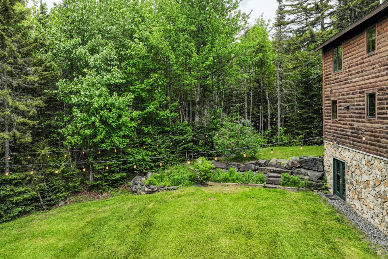 Back yard.jpeg
