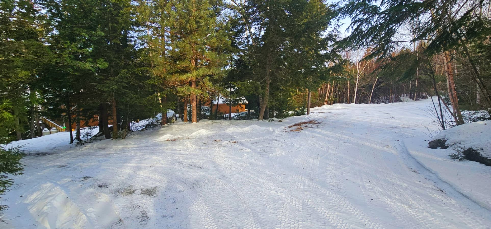20250206_100146.jpg