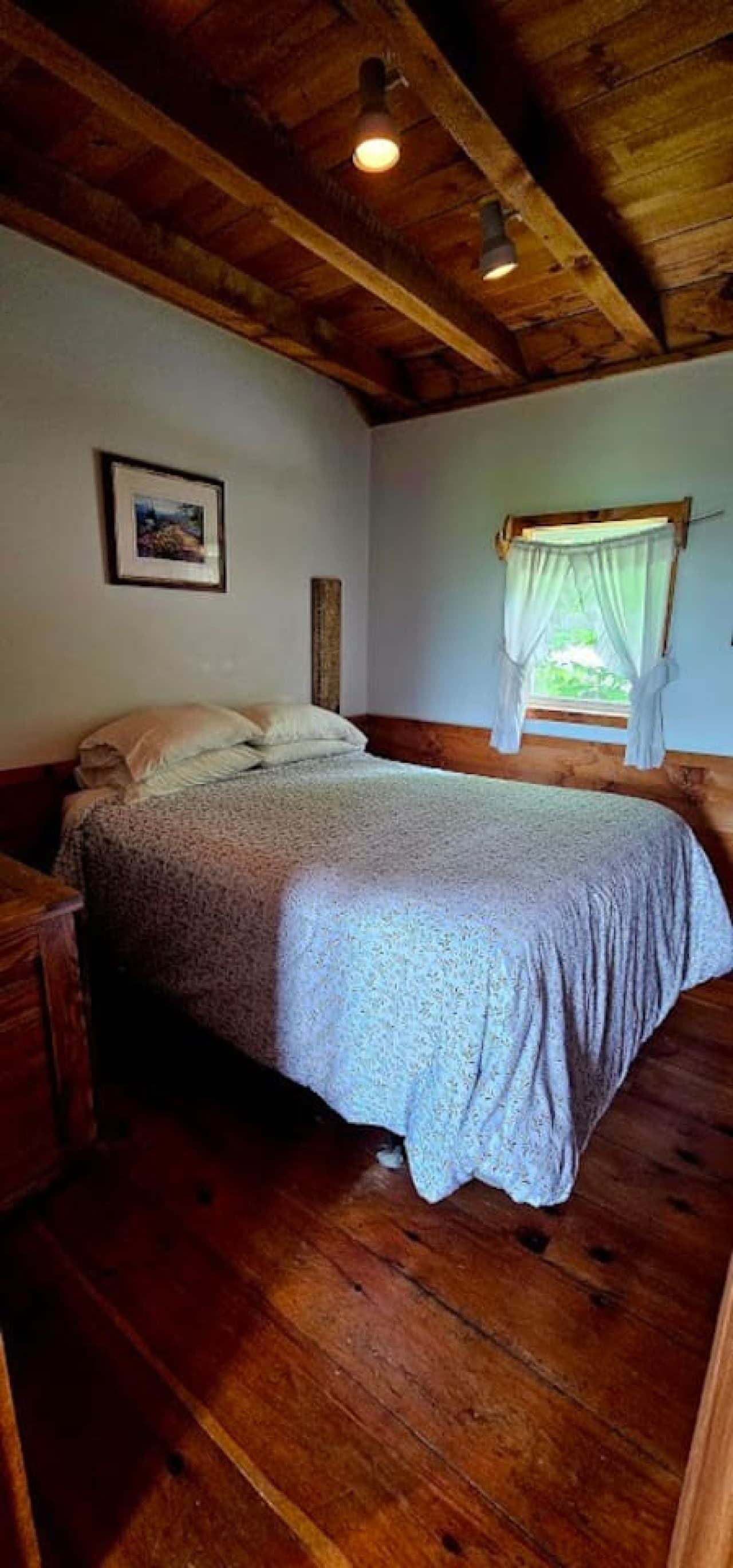 Gallery Image 13