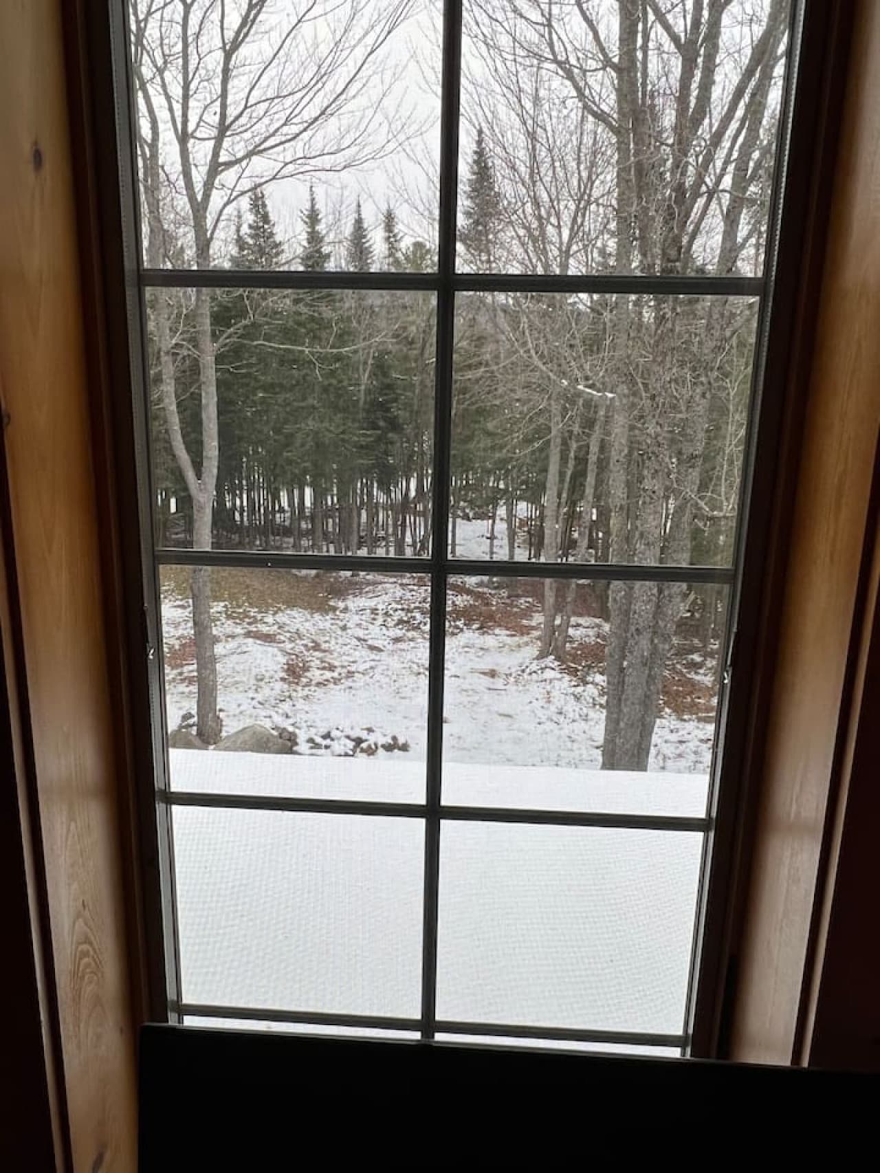 Gallery Image 12