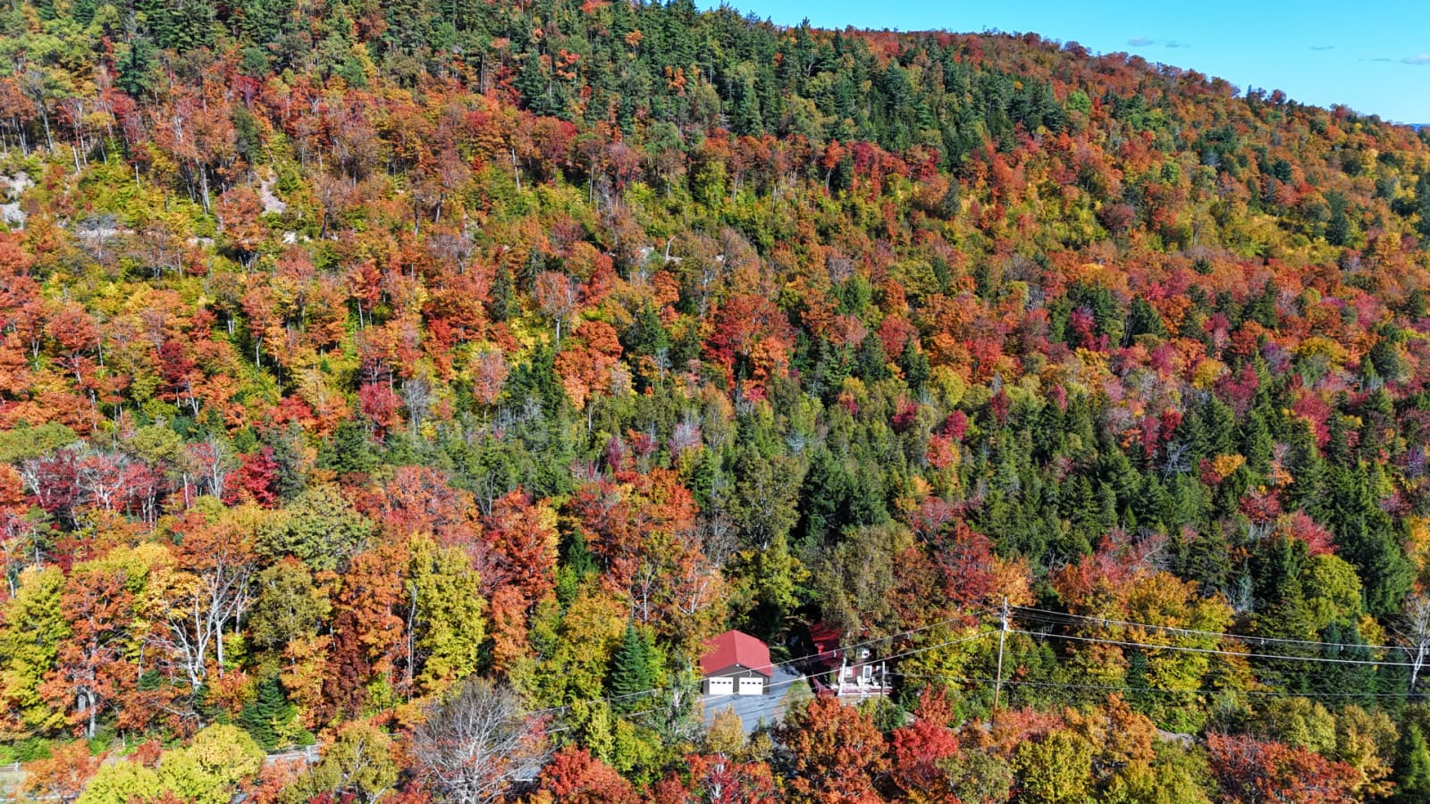 DJI_20251002113651_0242_D.JPG