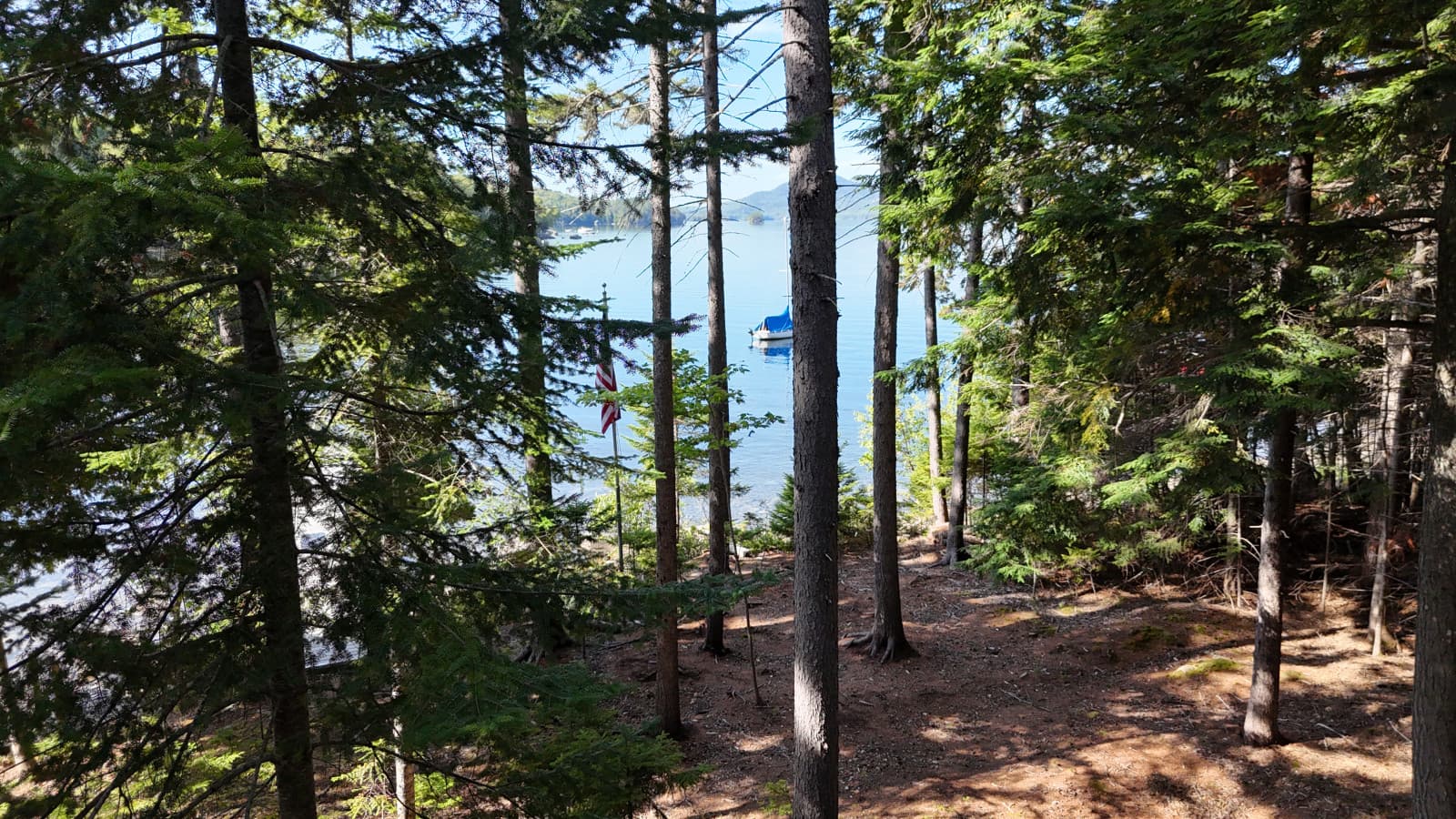 dji_fly_20250828_093820_0163_1756388377021_photo.jpg