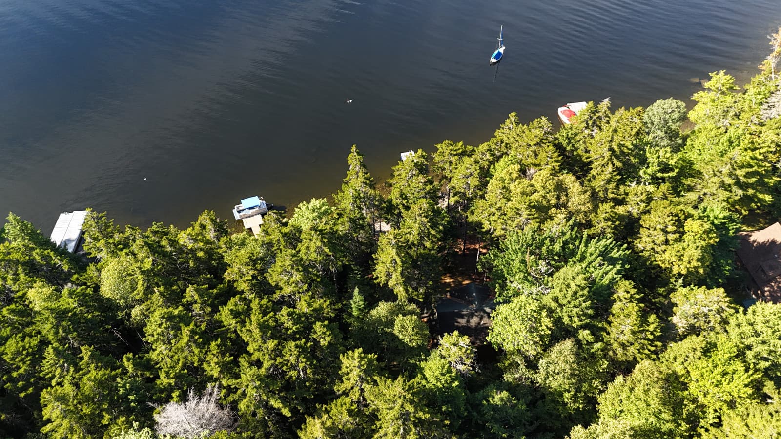 dji_fly_20250828_092936_0151_1756388381392_photo.jpg