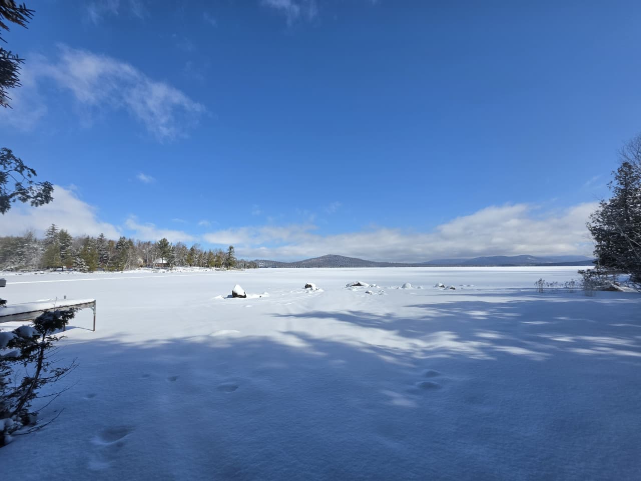 20260324_104546.jpg