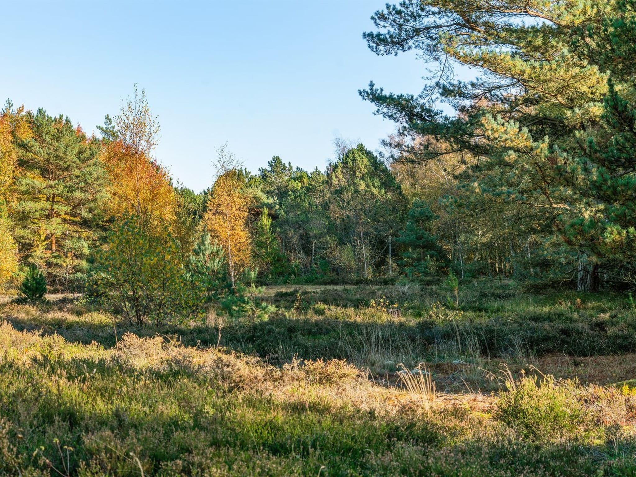Place