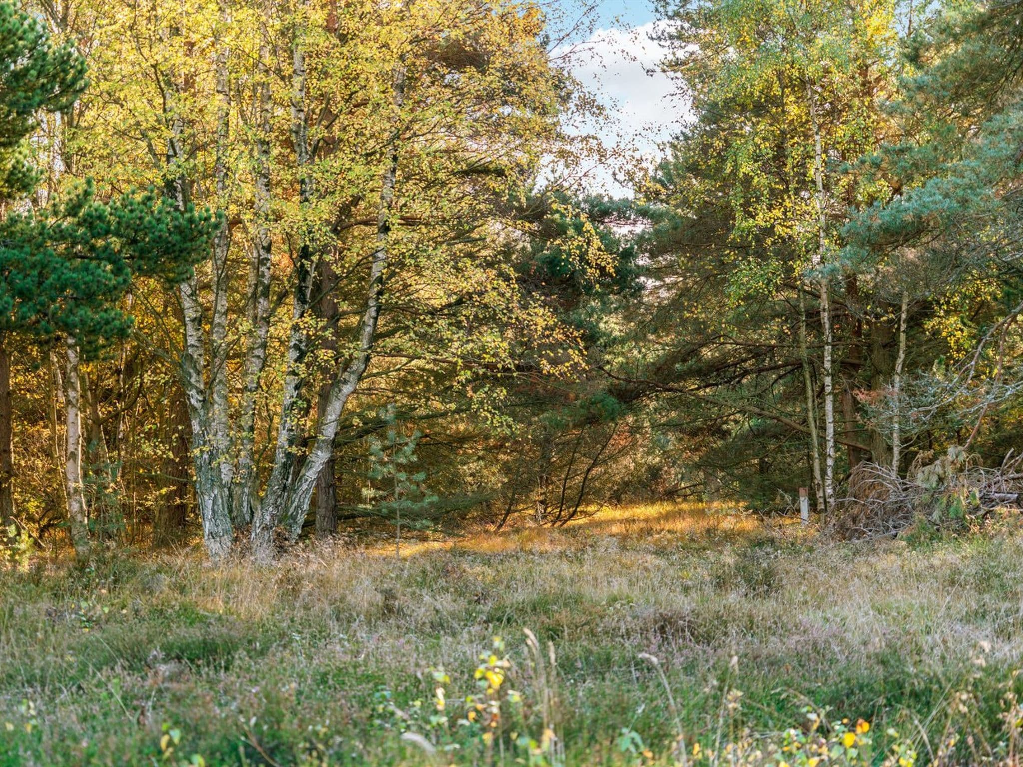 Place