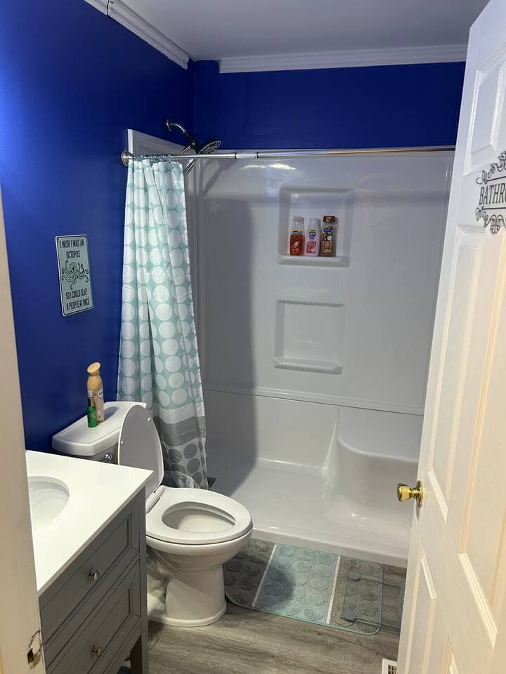 Gallery Image 8