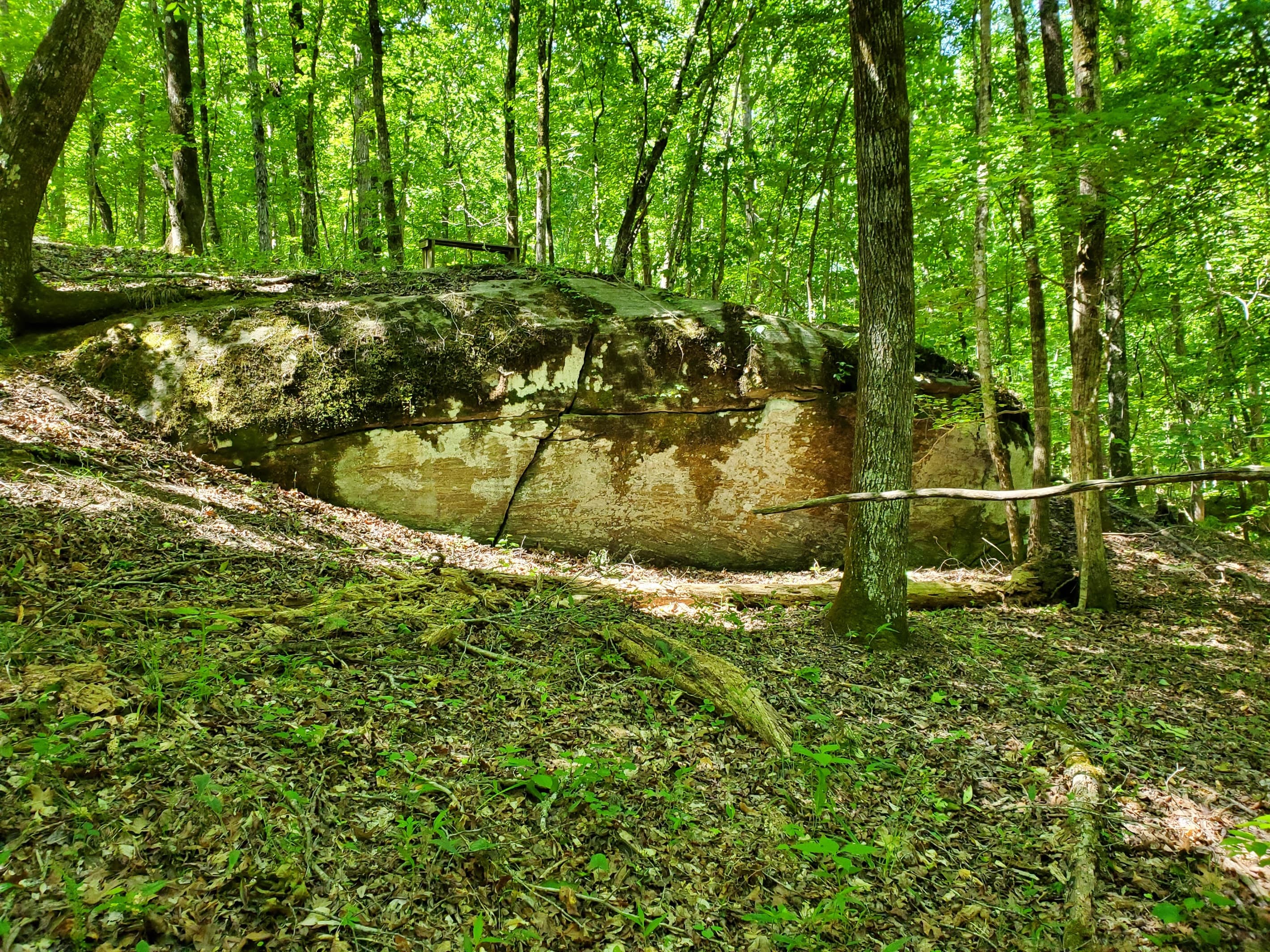 Large granite outcroppings along the walking trails
