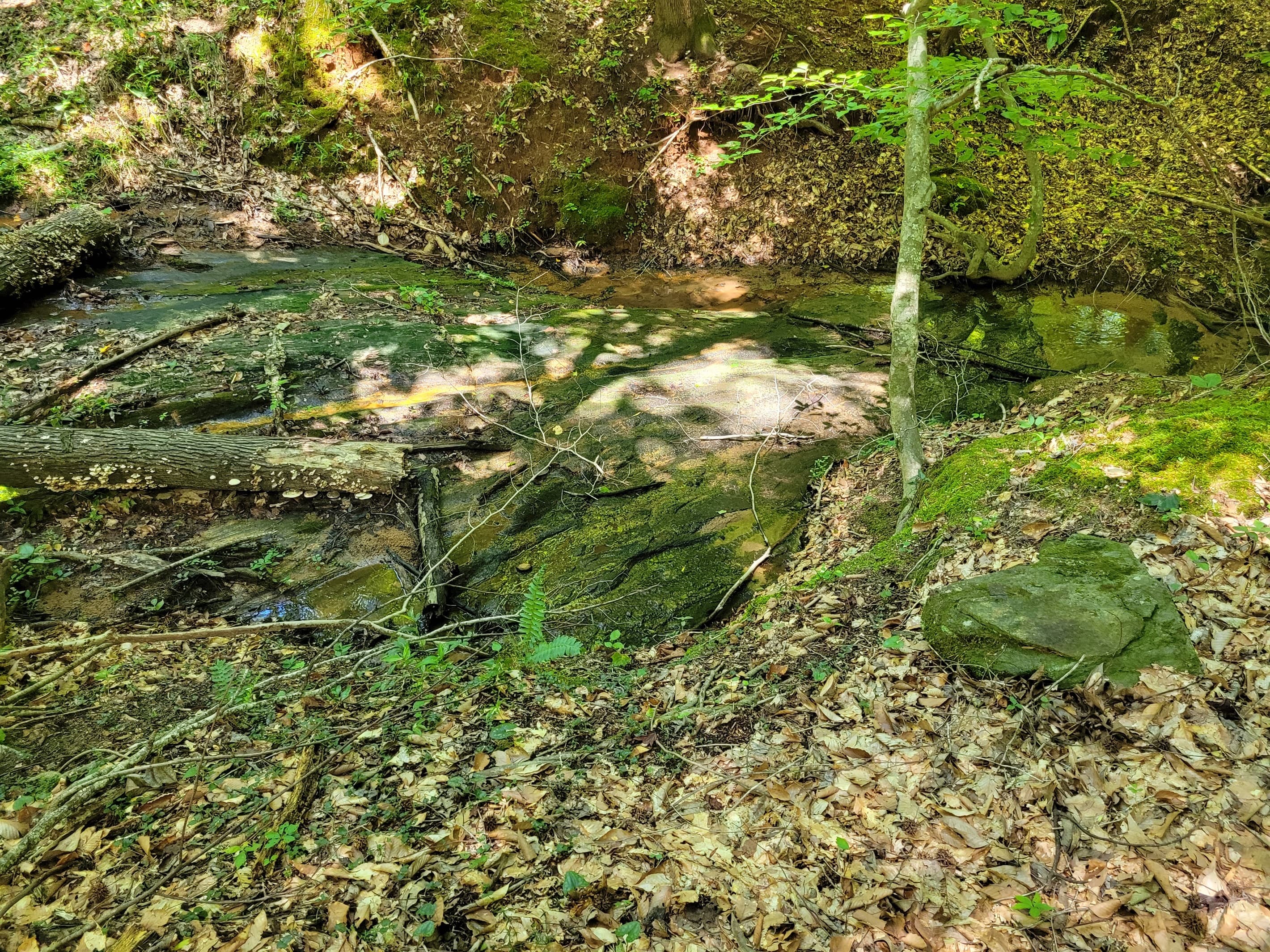 Large granite outcroppings along the walking trails