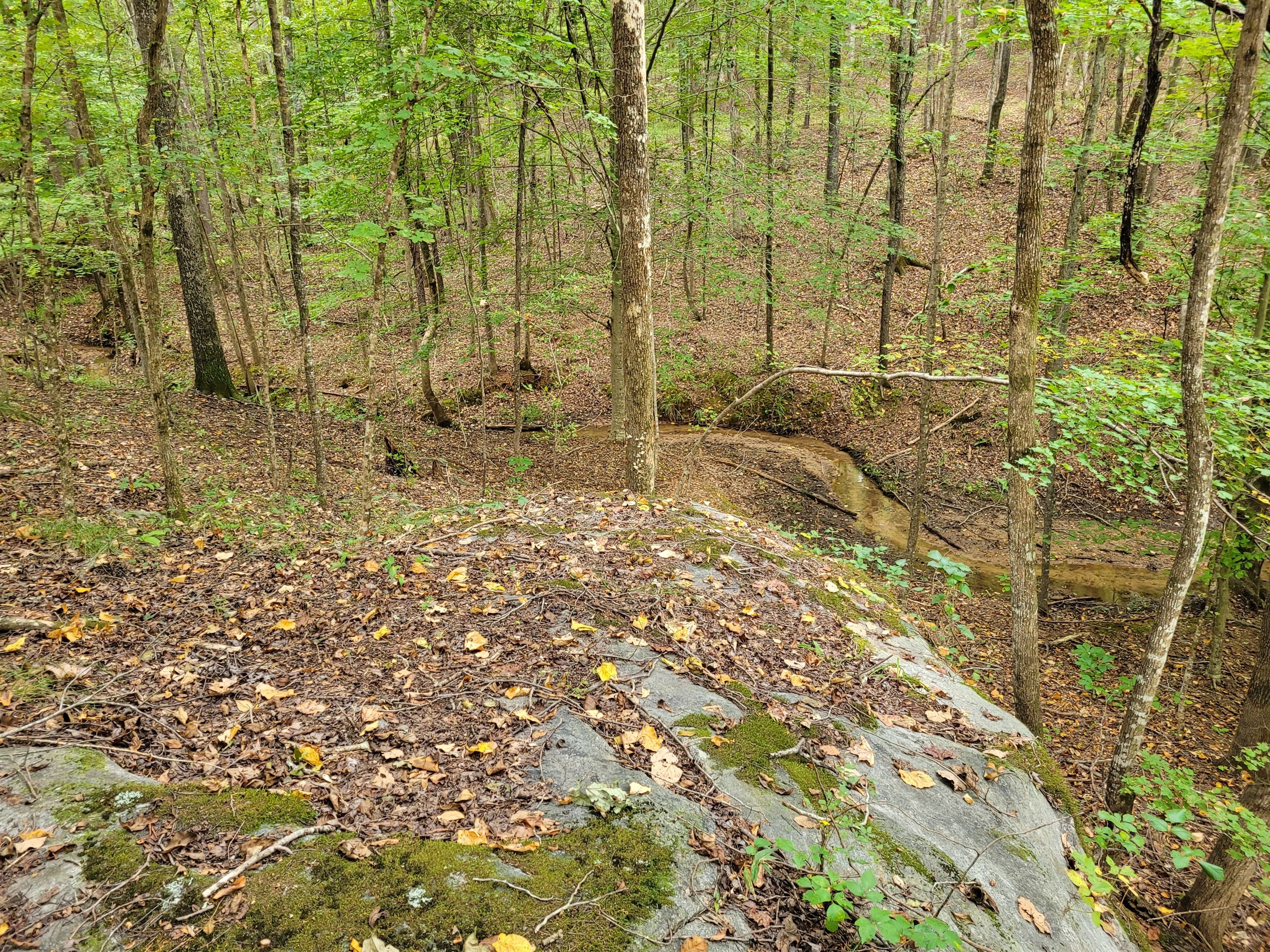 Large granite outcroppings along the walking trails