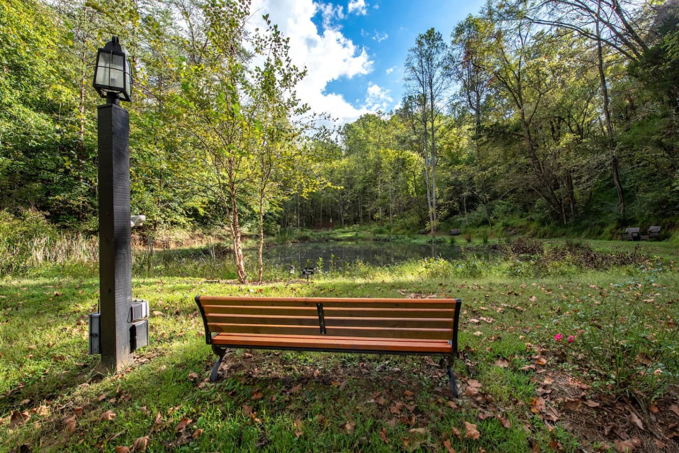 A cute bench to take in sights and sounds next to the pond
