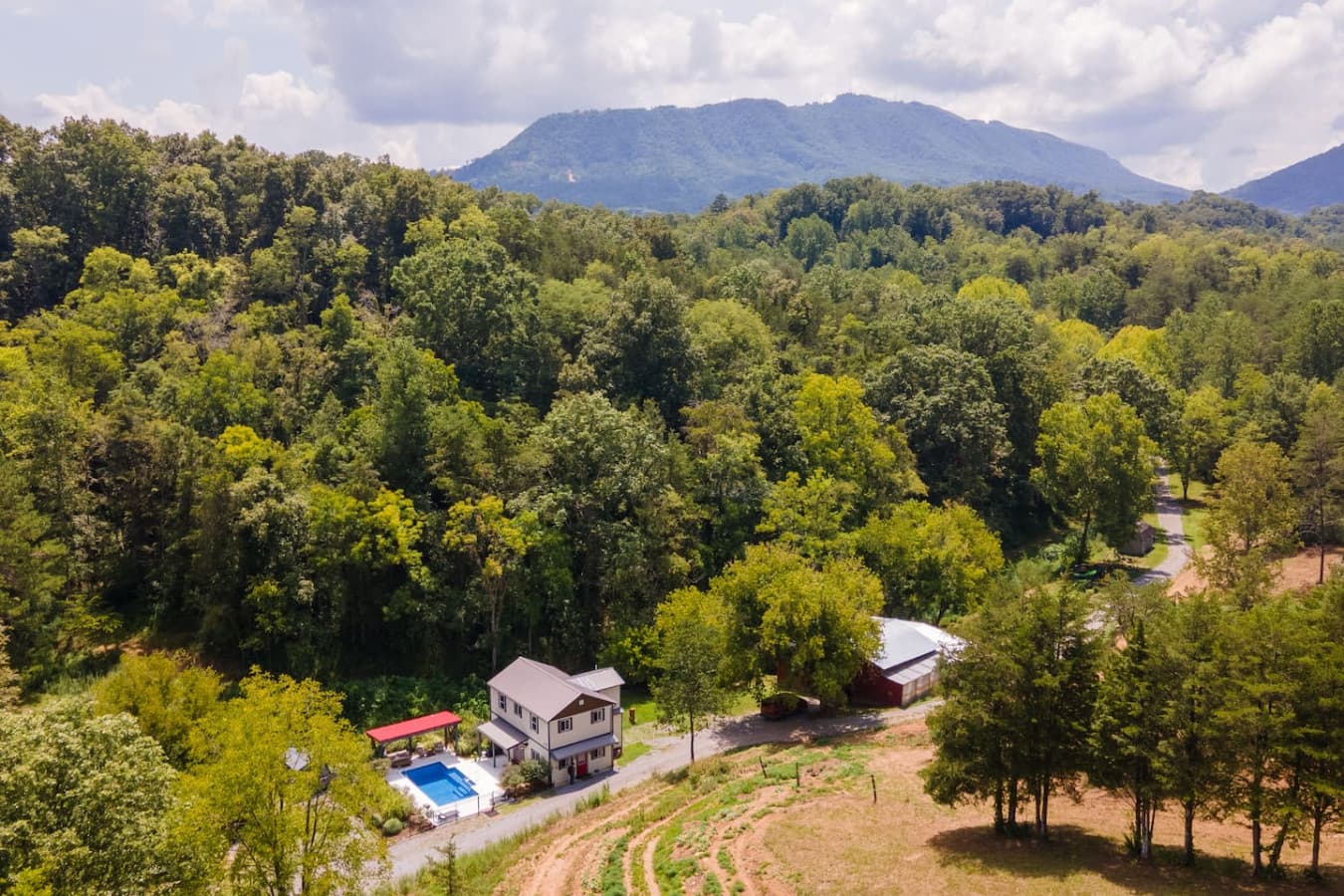 Wooded Bliss: A shot of the lush forest surrounding the farm, offering total privacy.