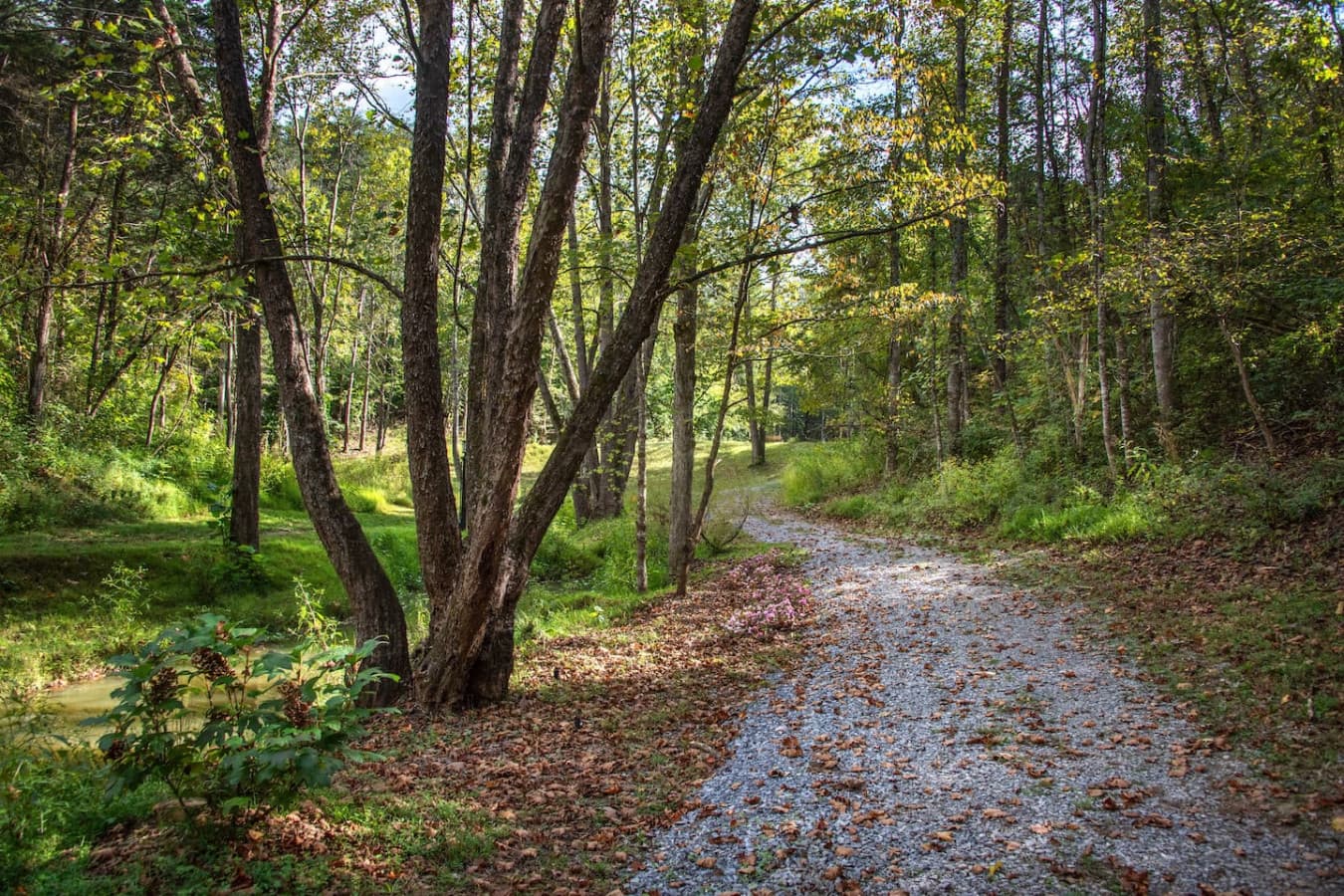 More walking paths to enjoy around the property