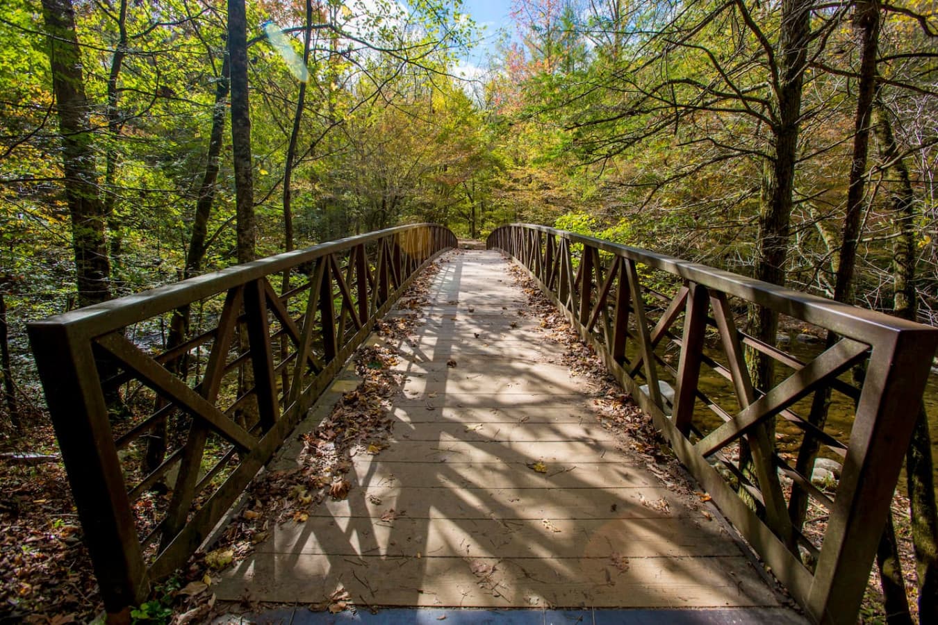Enjoy the site while in the Smoky Mountains (not at the property)