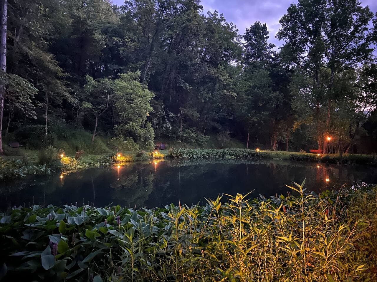 A shot of the tranquil pond at night