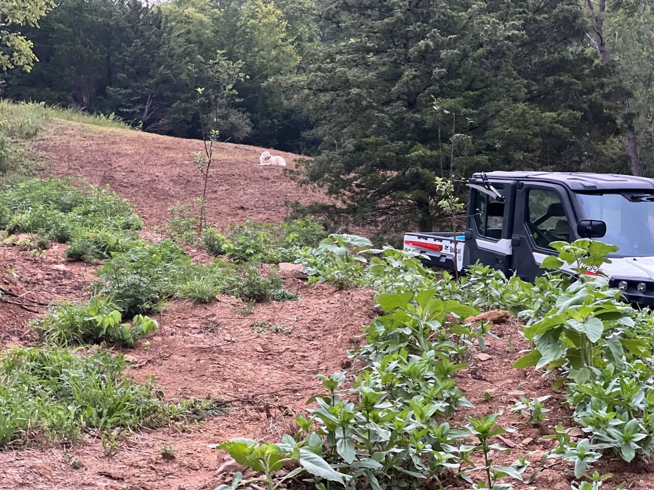 Enjoy farm living while you're here!