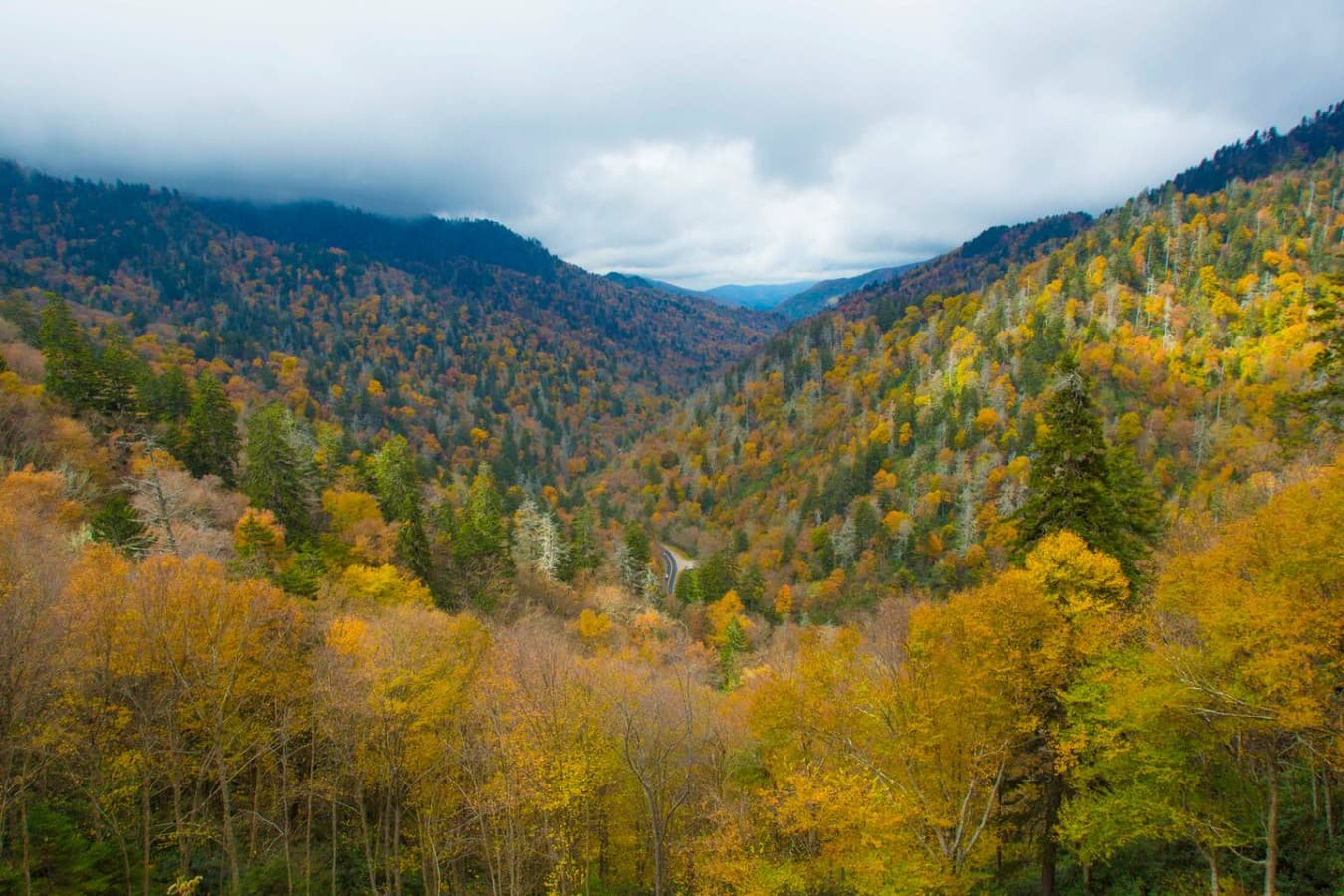 Breathtaking views available in the Smoky Mountains  (this is not on the property)