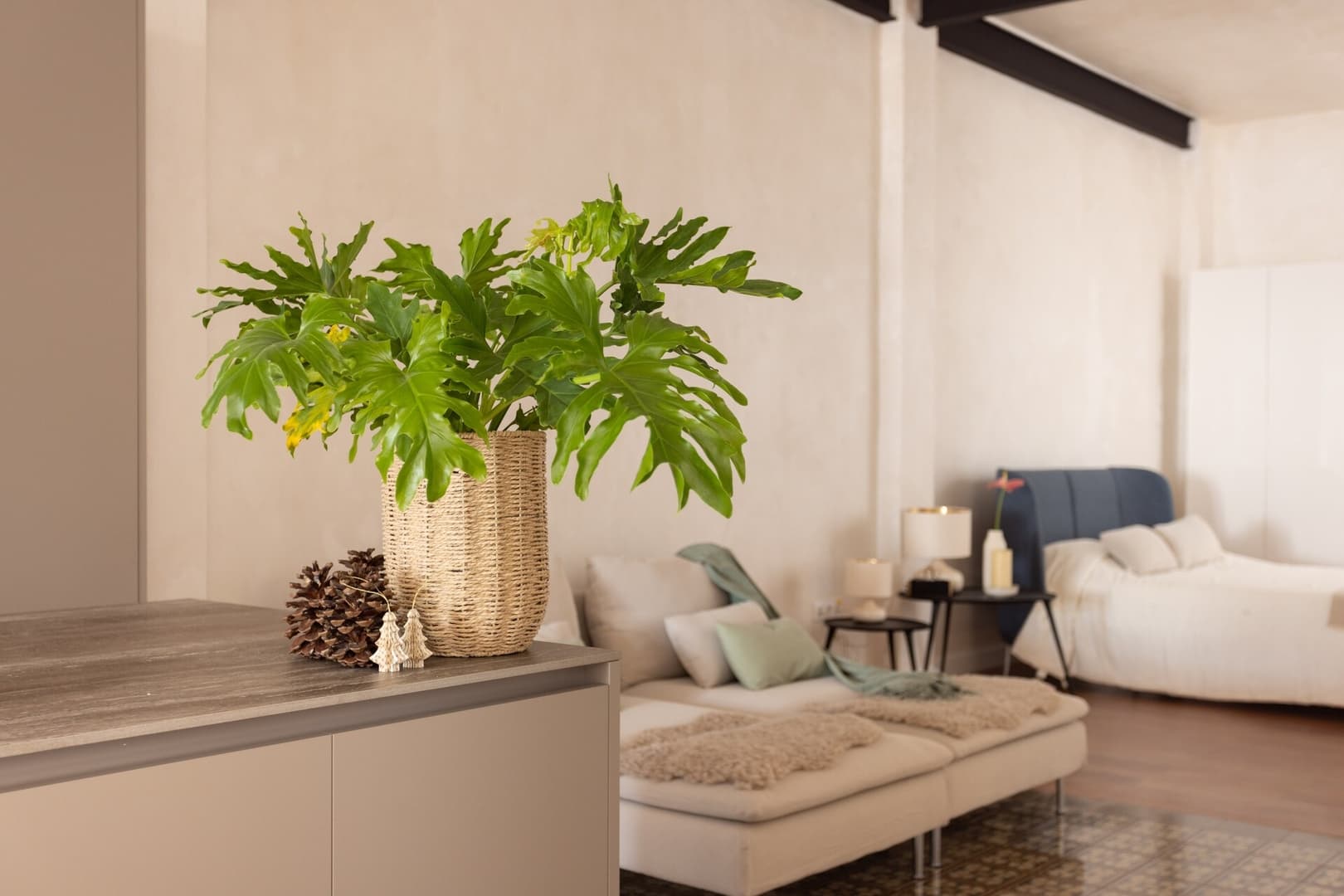 Gallery Image 24