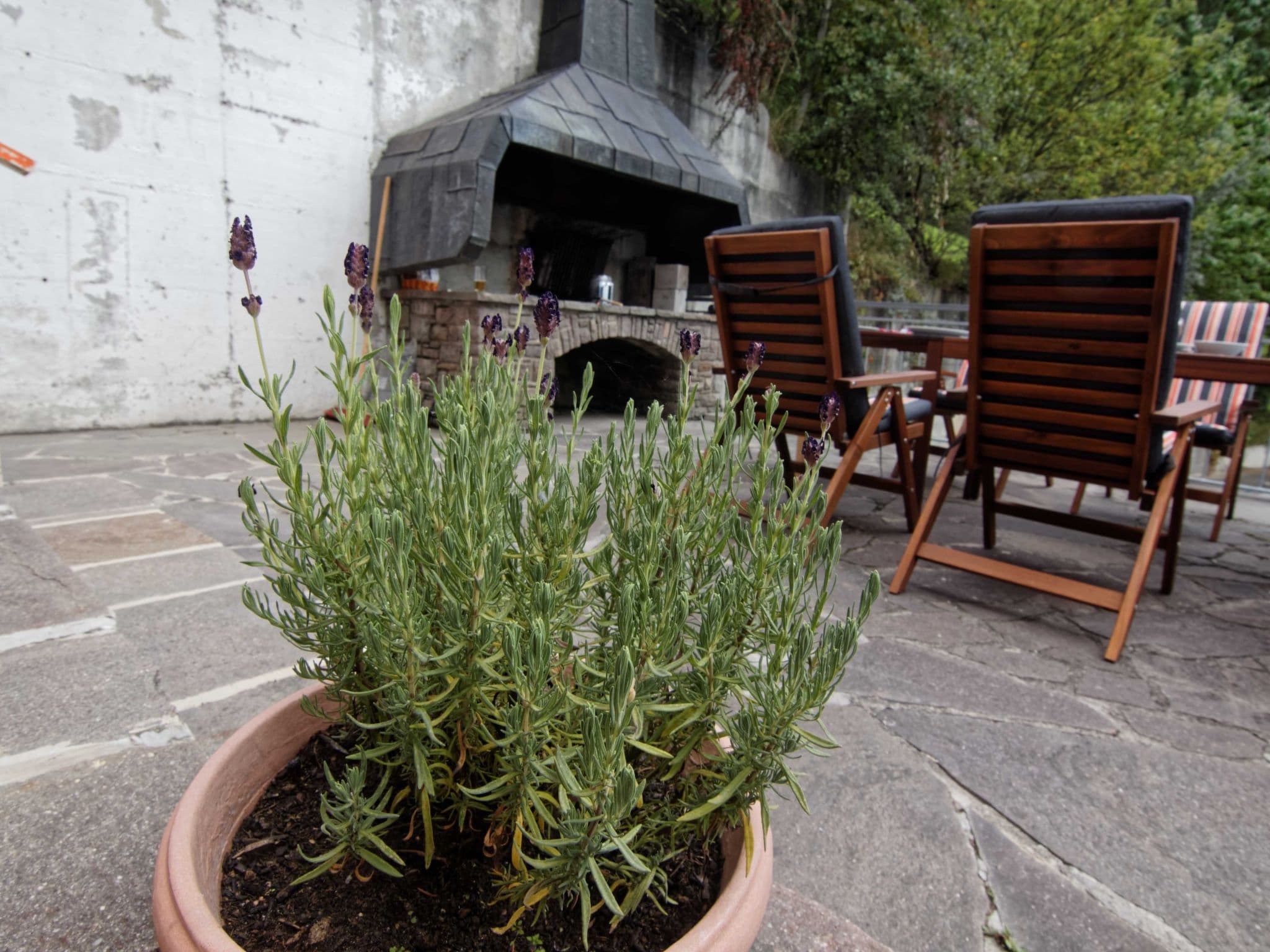Outdoor