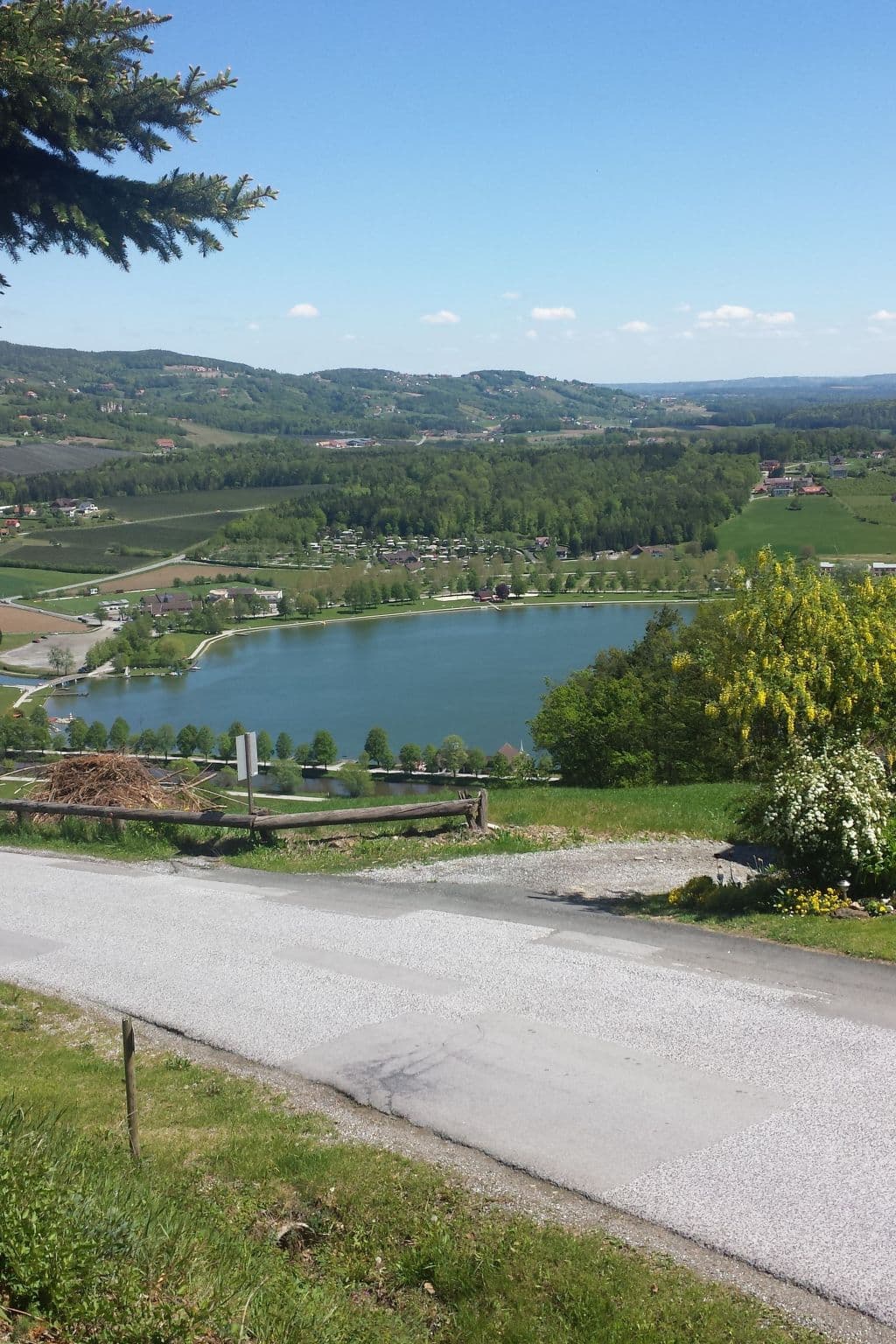 View