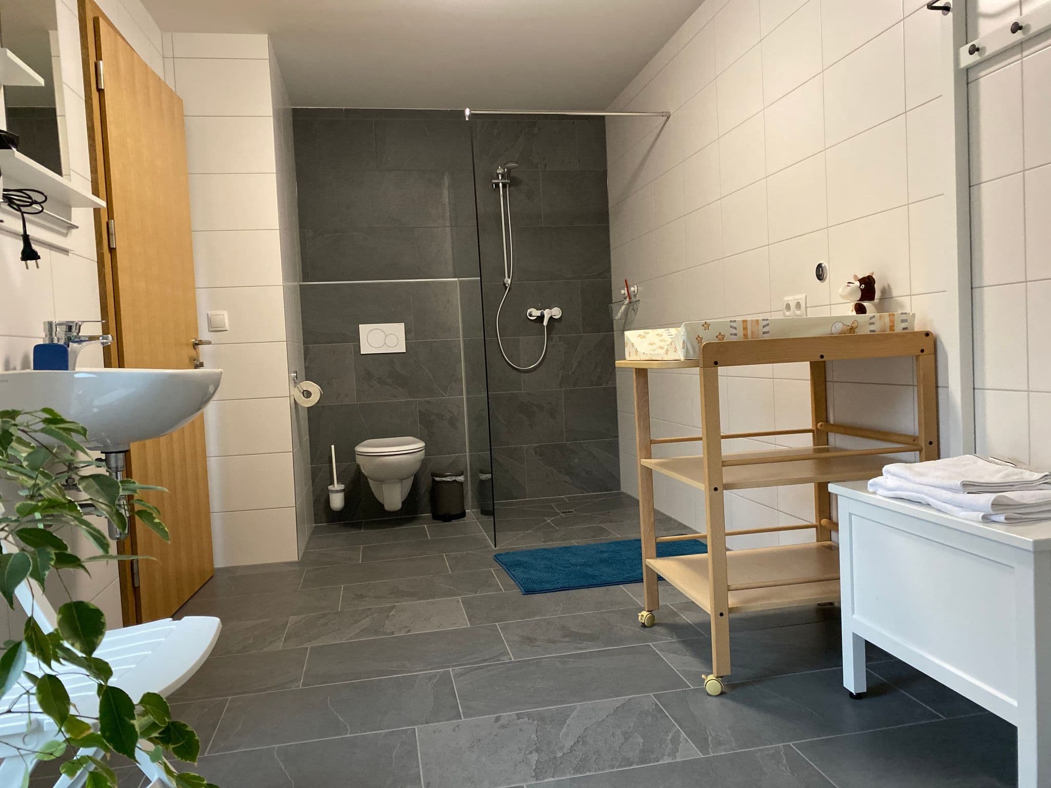 Bathroom / Wellness