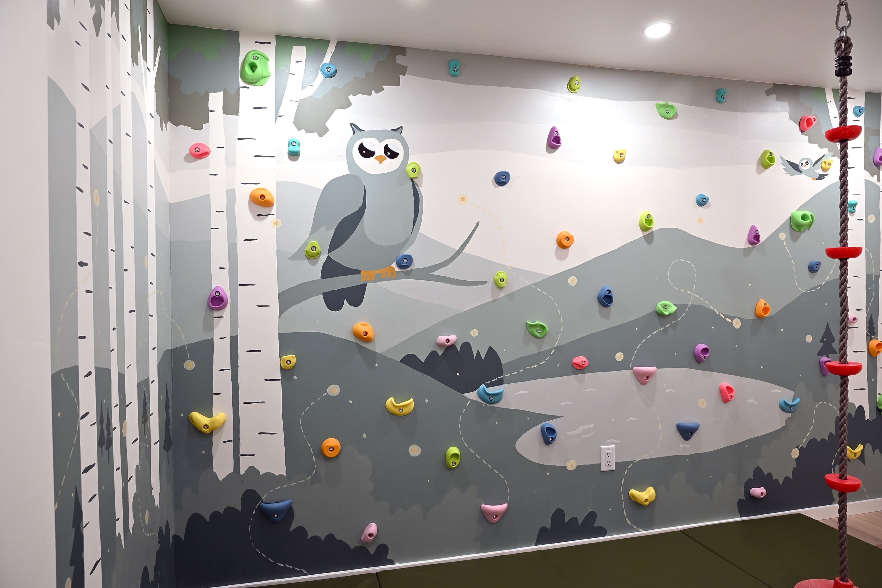 Climb the walls with our owl and fireflies!
